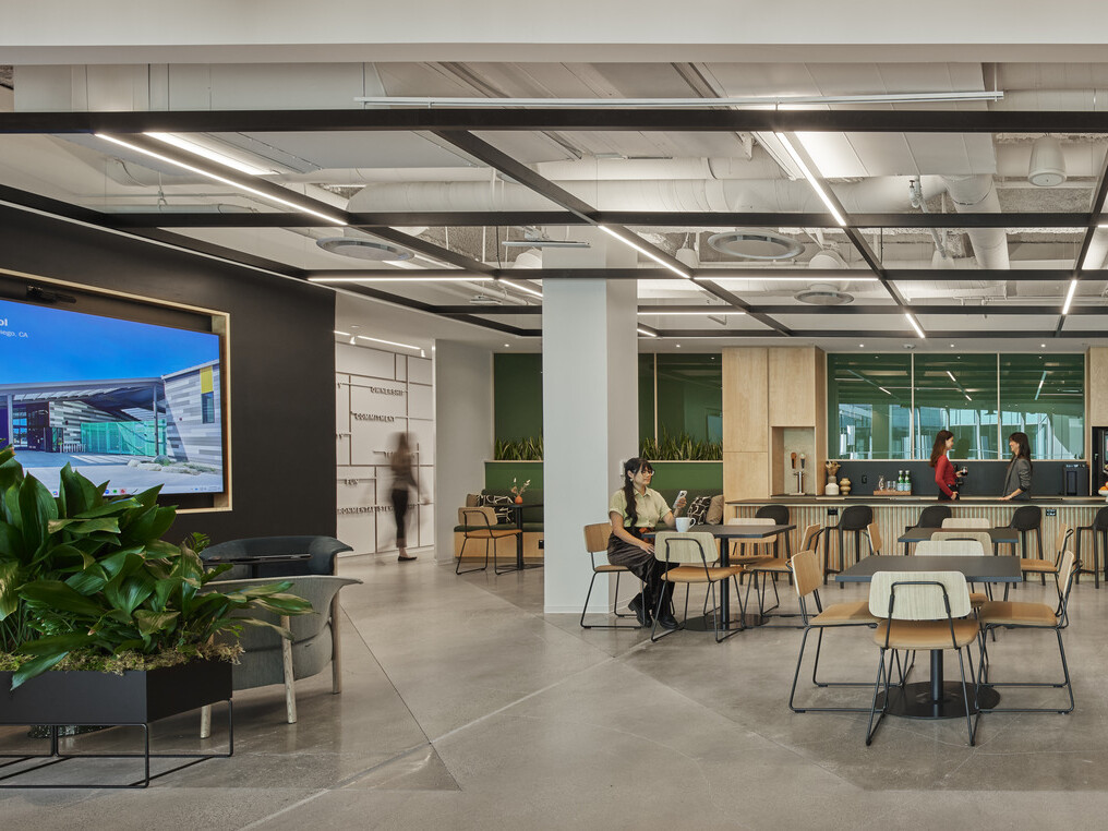 modern office interior with a dark green accent wall, light wood accents, and tables for staff