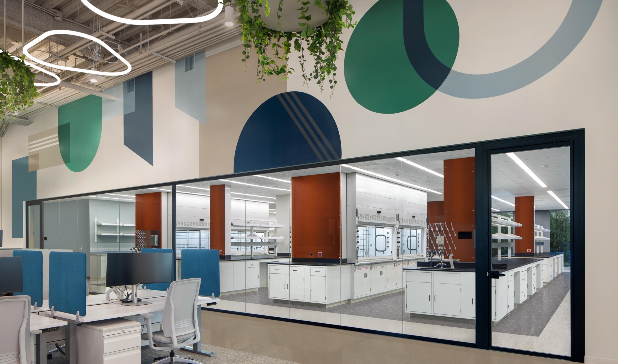 interior view of a therapeutics office place in San Diego, colorful wall decor, hanging plants, and glass panels for transparency define the space