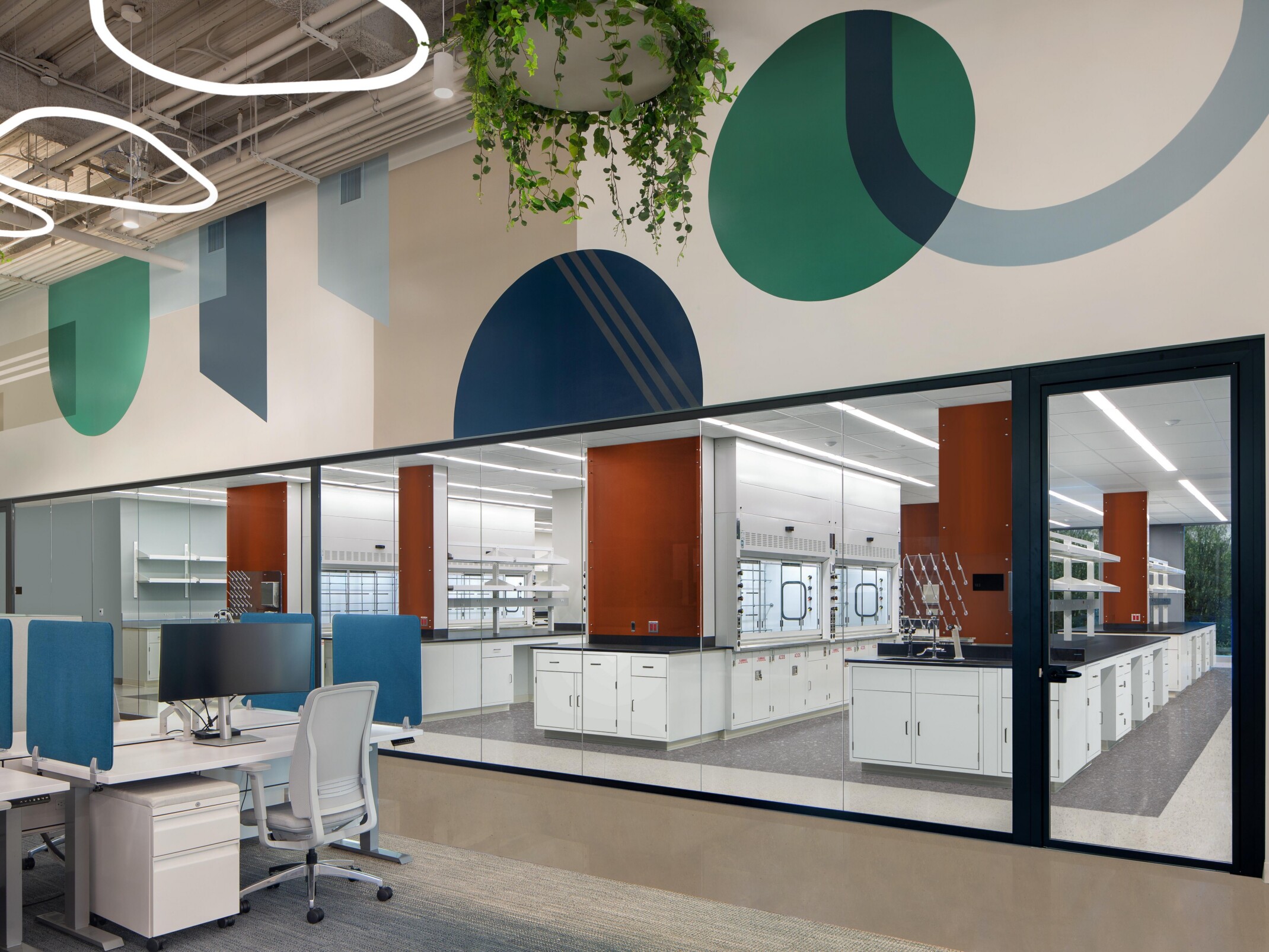 interior view of a therapeutics office place in San Diego, colorful wall decor, hanging plants, and glass panels for transparency define the space