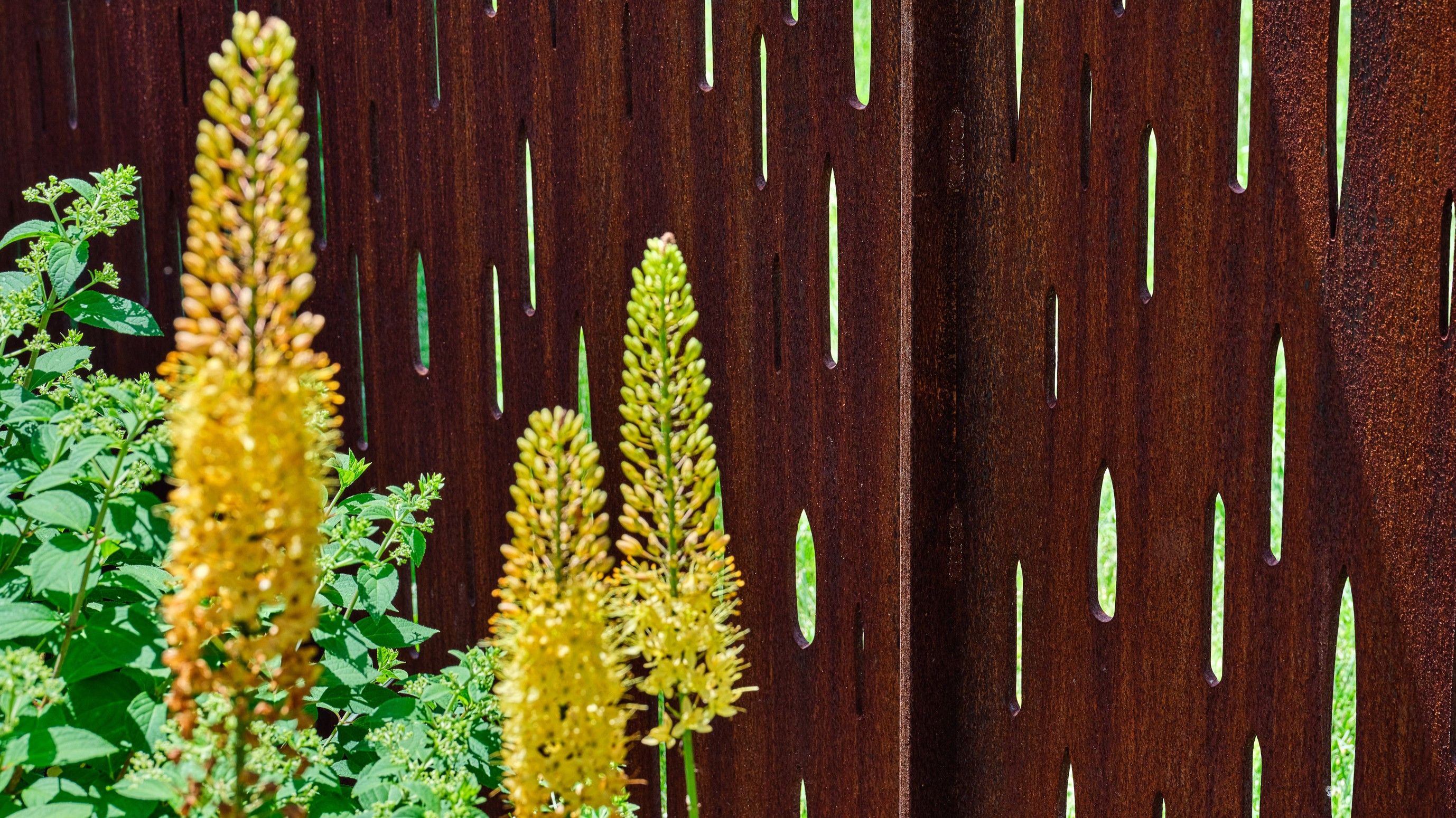 12_19110_00_N42_header.jpg