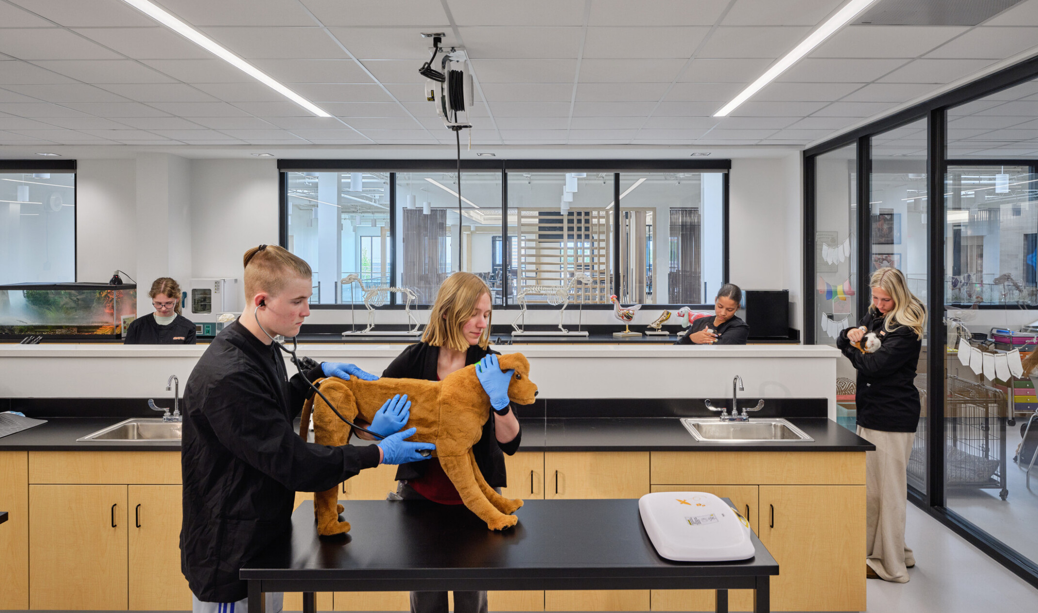 technical classroom in Olathe Innovation center; students working in veterinarian simulation lab with specialized tools