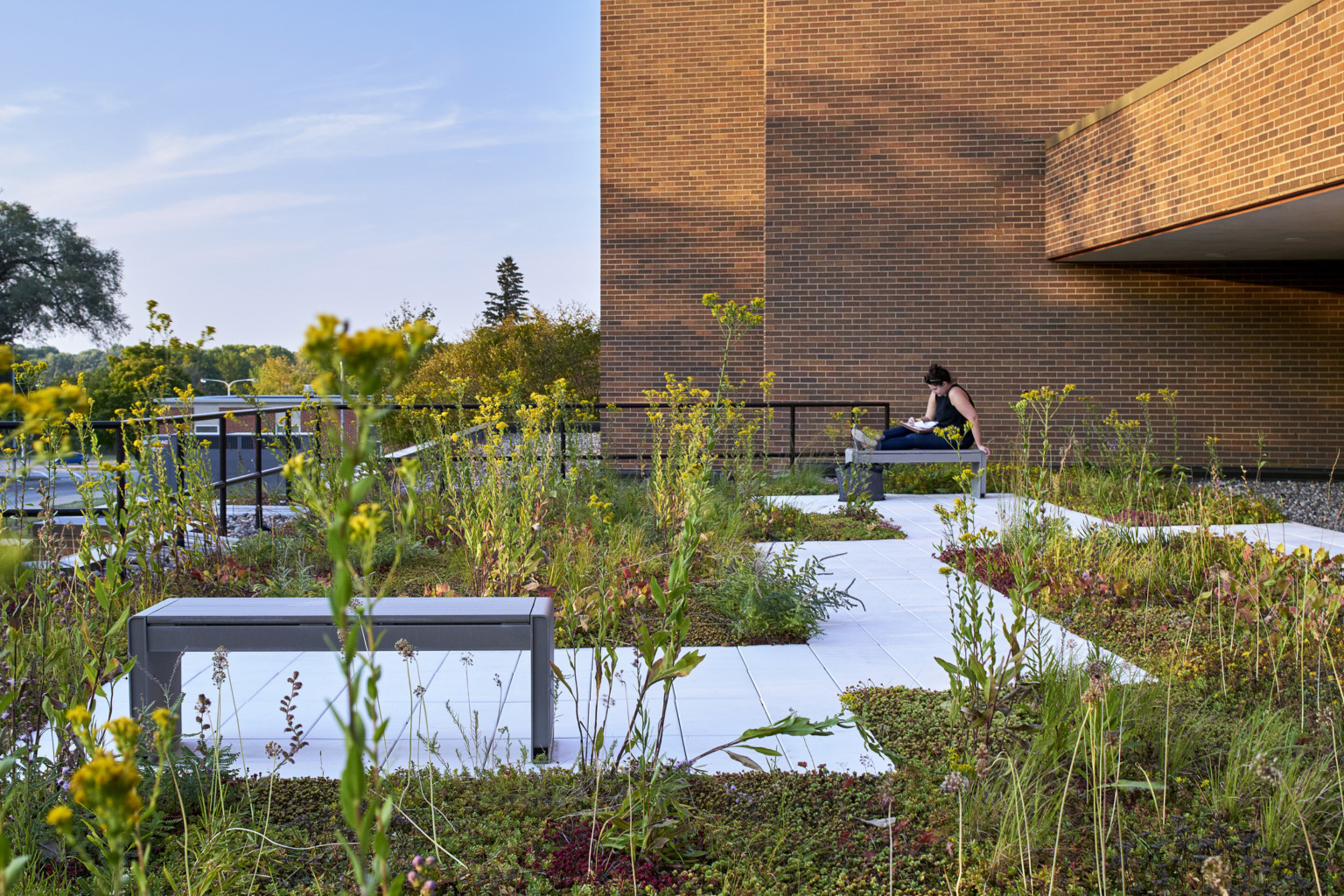 Rooftop garden with wildflowers and angular path at the University of Northern Iowa for students to go out and study on