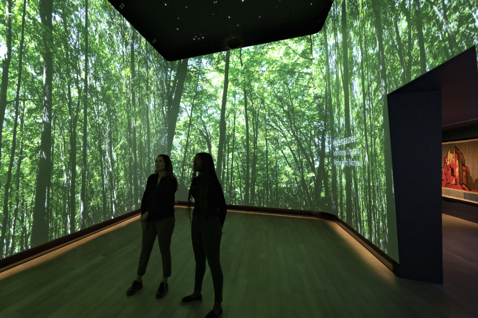 interactive museum exhibition; two women stand in a room with projections of trees covering the walls