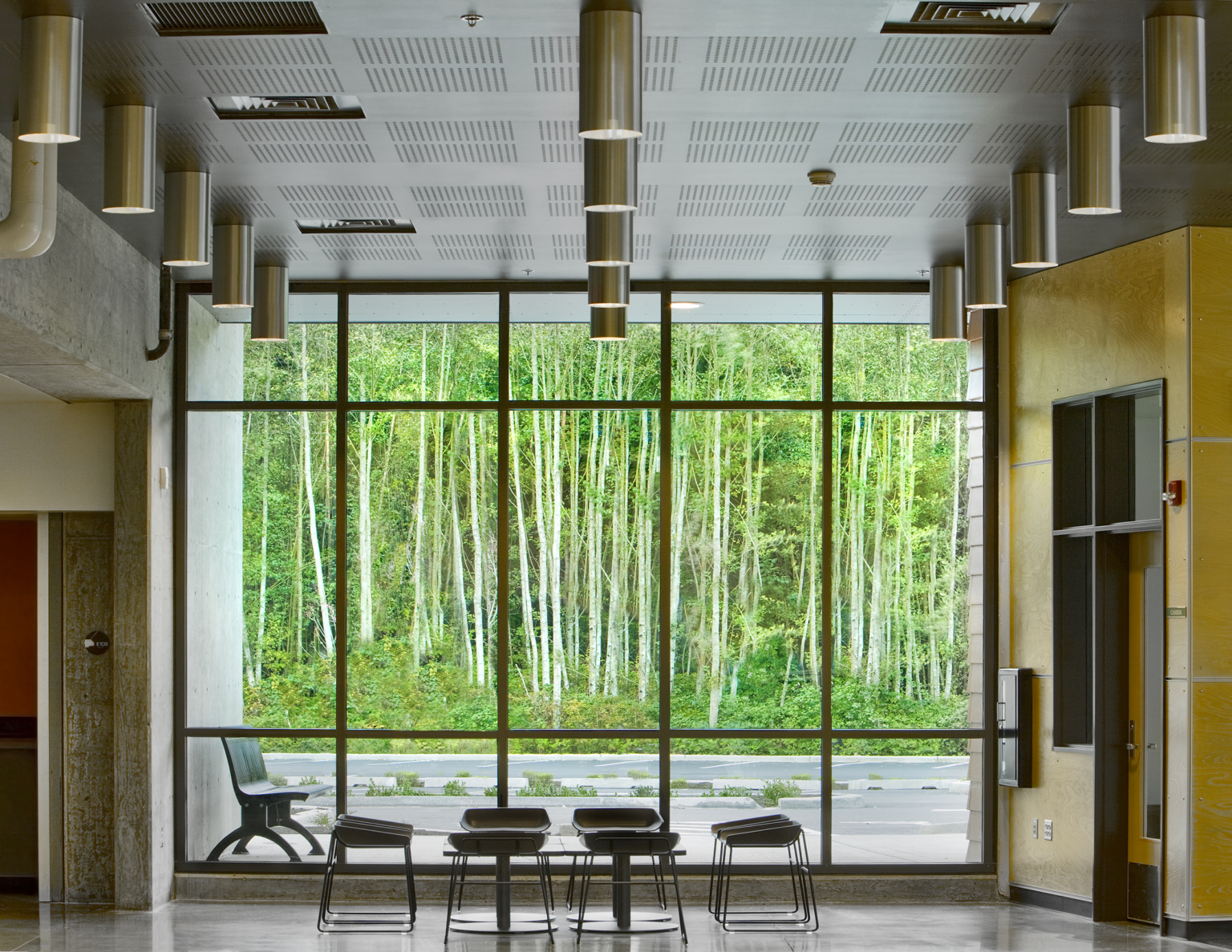 Double height, floor to ceiling windows looking out to forest at Marysville Getchell High School.