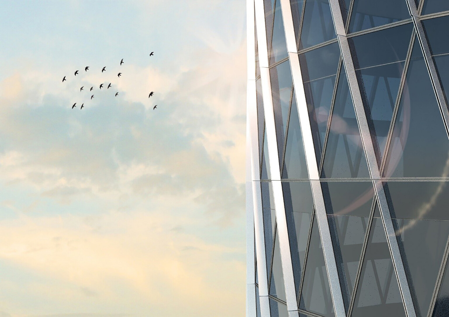 looking up at a glass building with light metal mullions and sun glare reflections against a bright sky with flying birds