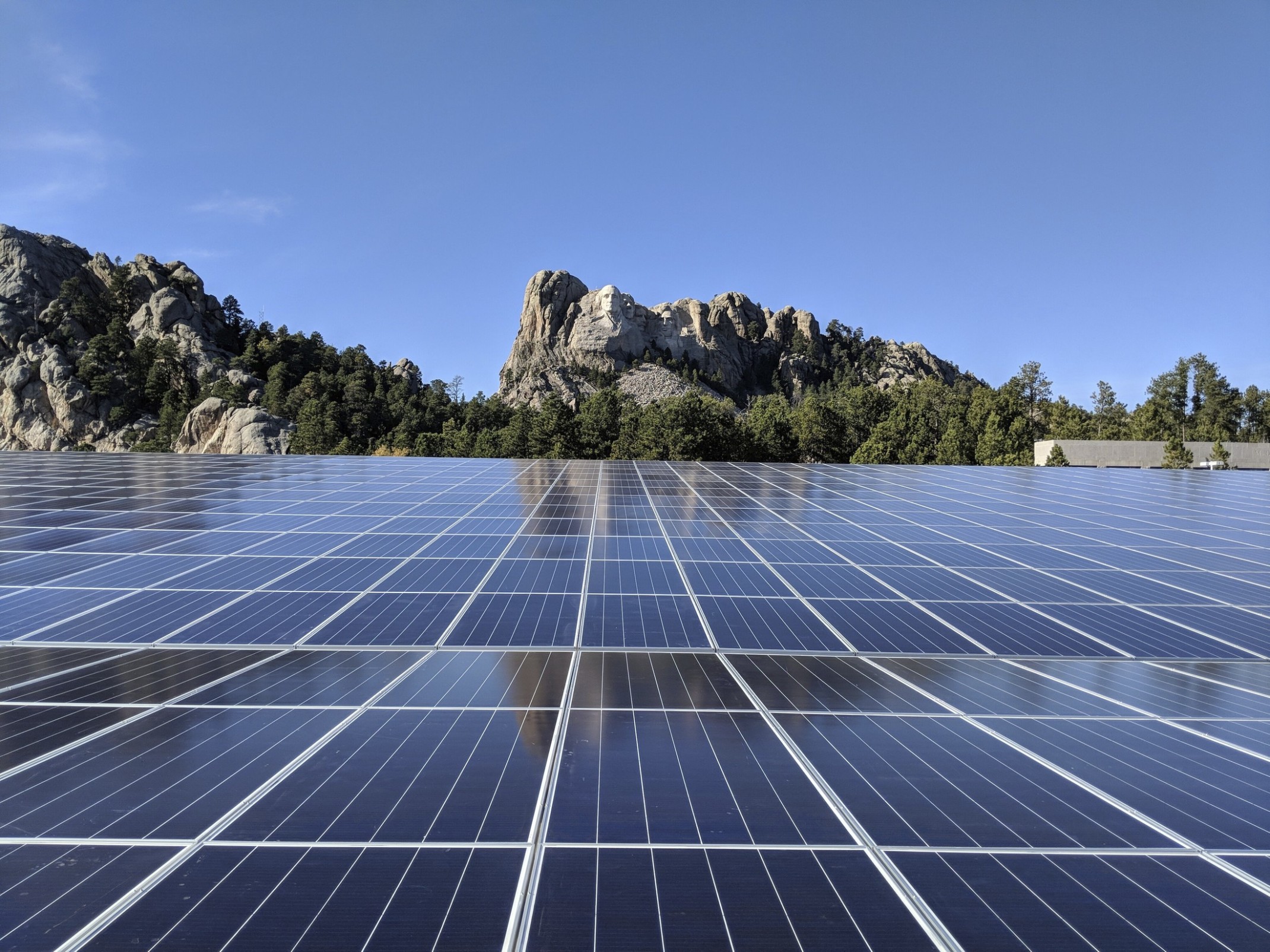 Solar array in the Thomas Jefferson Solar Canopy at Mount Rushmore lines lead to the mountain sculpture surrounded by trees