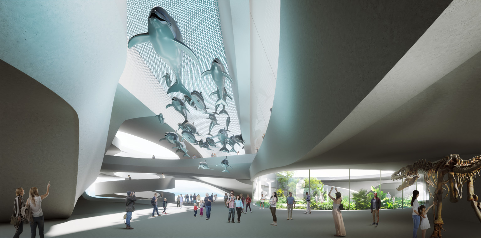 design concept for The Museum of Science & History with dolphin sculptures hanging from the ceiling and large dinosaur fossil