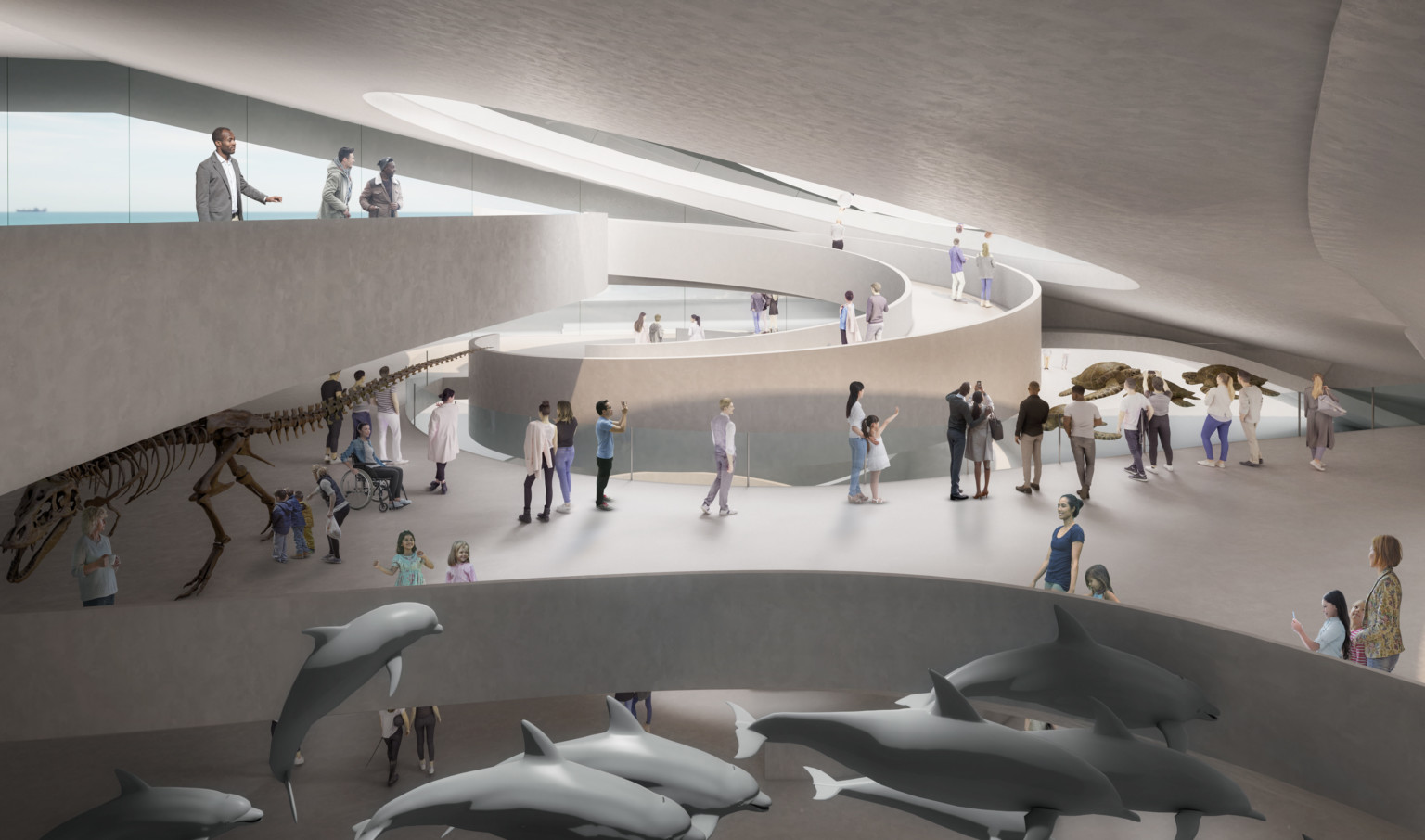 Organically curving multilevel walkway with sloping white ceiling. Dolphins are suspended, bottom, and dinosaur skeleton left