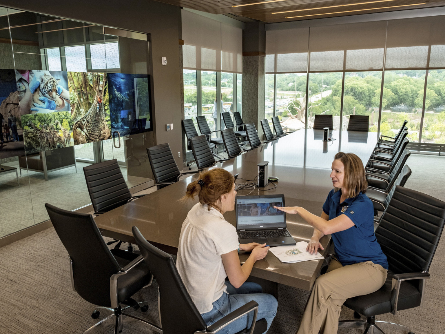 Conference room with floor to ceiling windows around a long table with office chairs. Left wall to hallway has animal photos