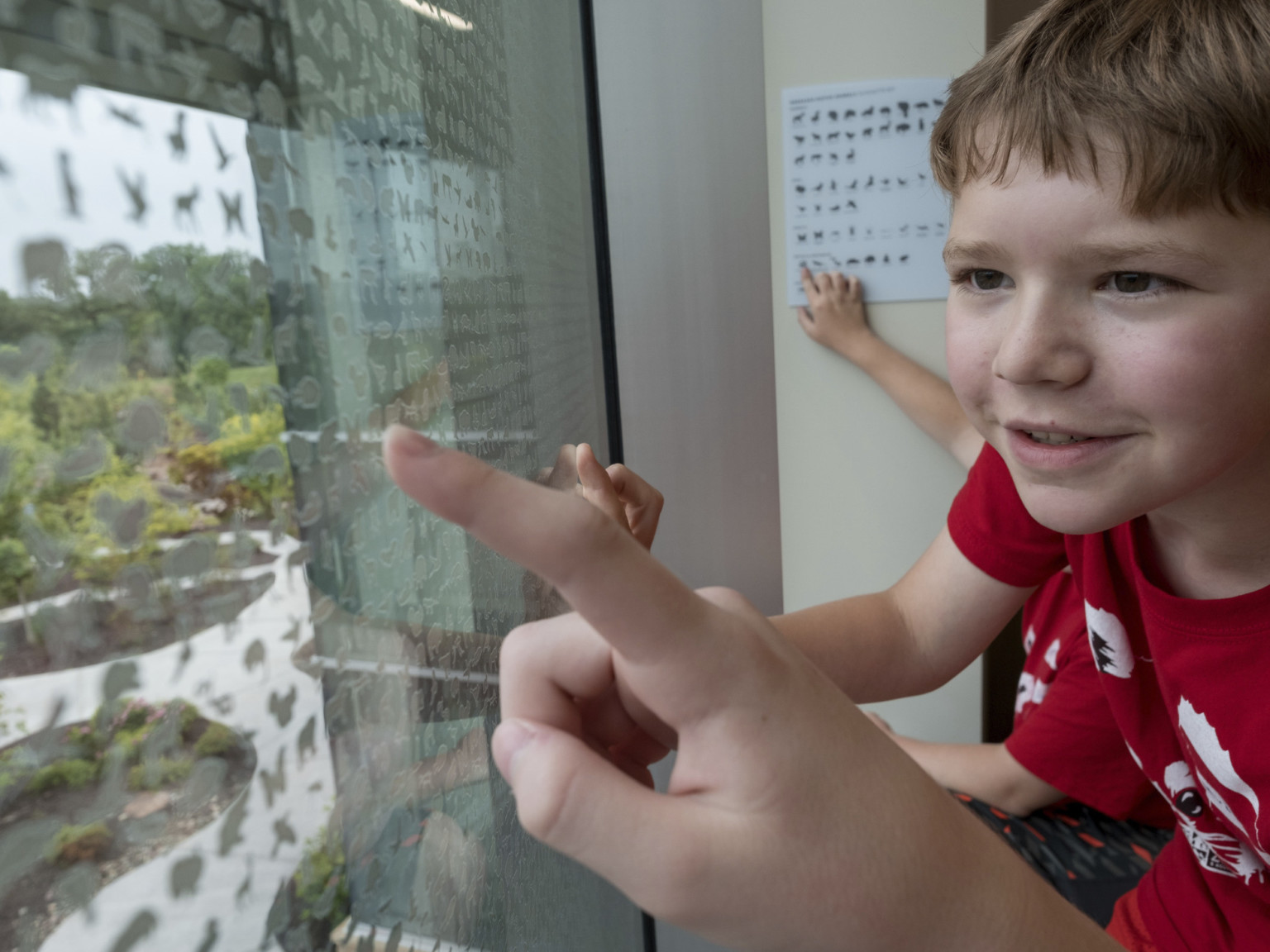 Children find animal shapes from a labeled list on a window of tiny illustrations