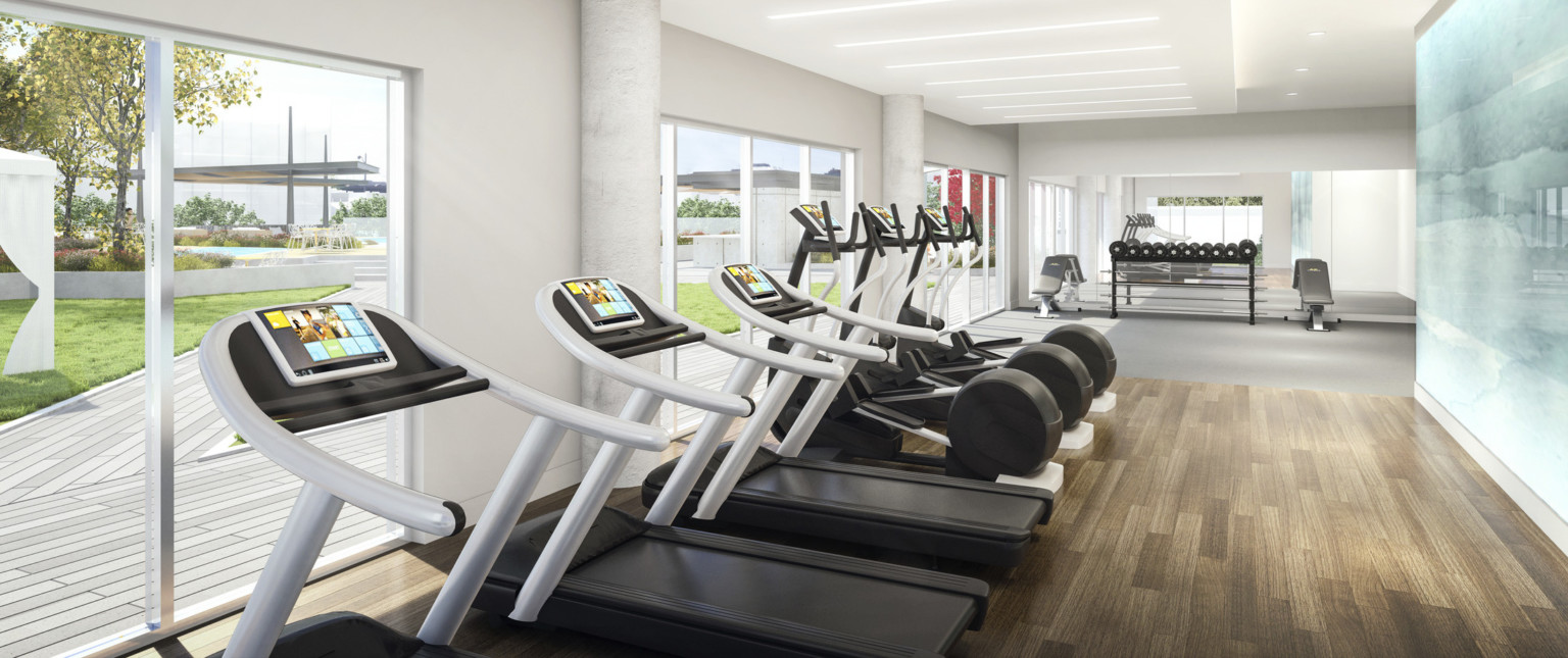 Gym equipment faces large windows with view of courtyard. A white room with drop ceiling detail and recessed light rods