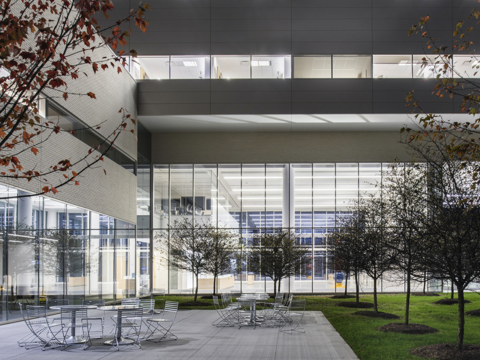 Outdoor seating area with tables and chairs surrounded by trees. Double height windows look out on the courtyard