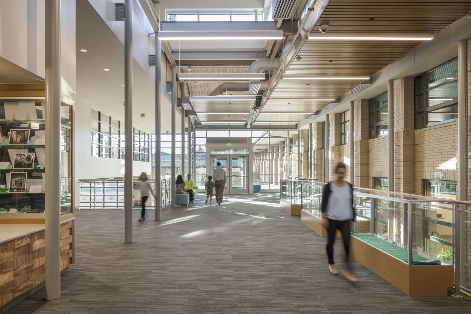 carpeted floor thin white columns glass display cases and suspended lighting in double height hall with clerestory windows