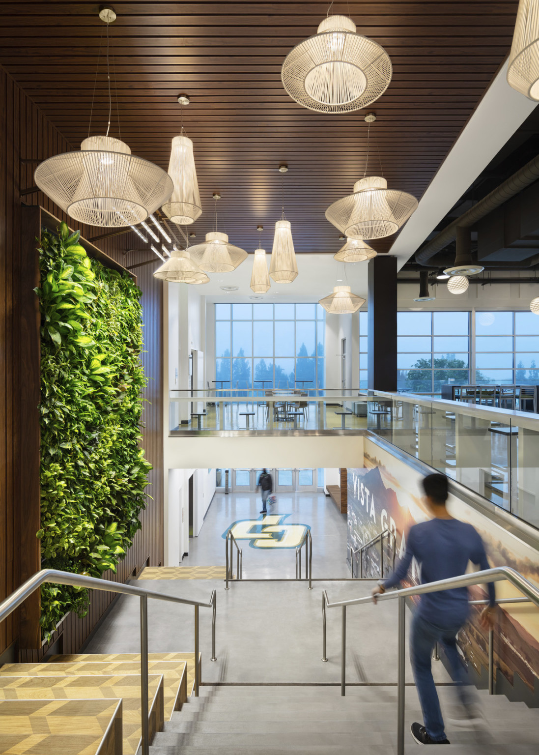 View down stairs with wood wall and ceiling, living wall detail left. Lights with multiple lamp shade shapes hang above