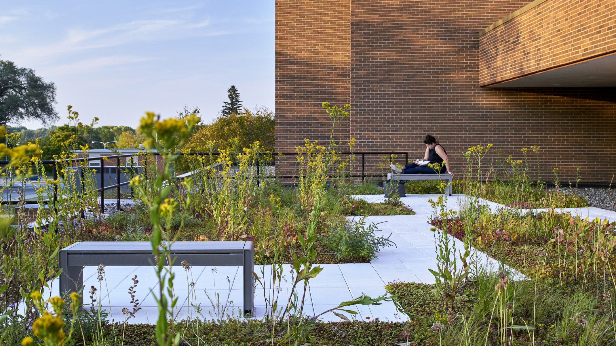 Rooftop garden with wildflowers and angular path at the University of Northern Iowa for students to go out and study on