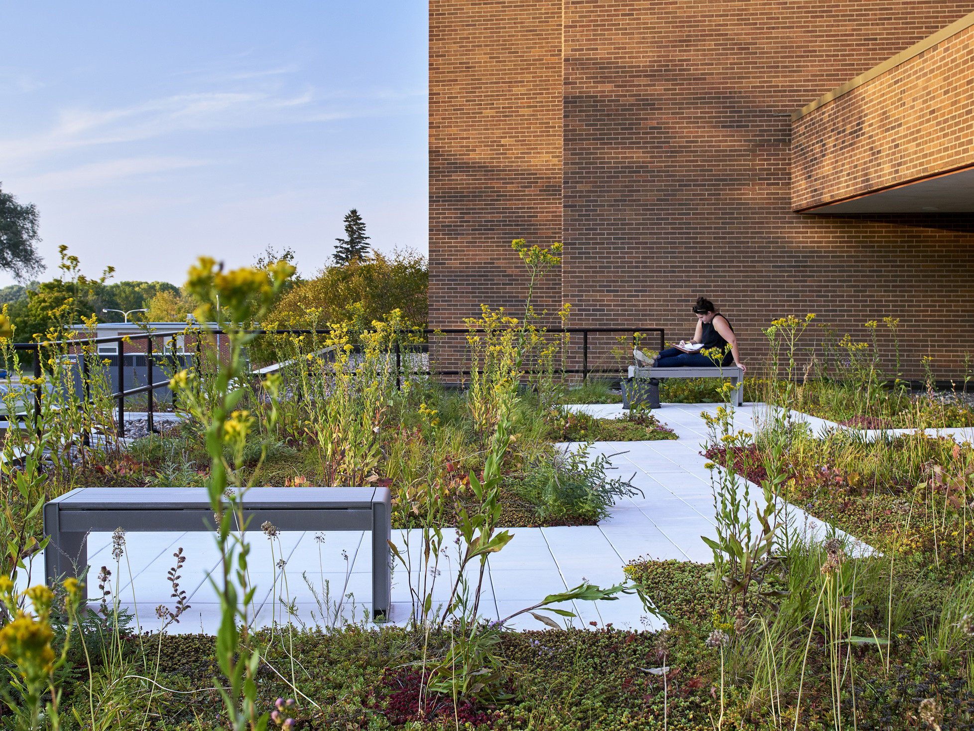 Rooftop garden with wildflowers and angular path at the University of Northern Iowa for students to go out and study on