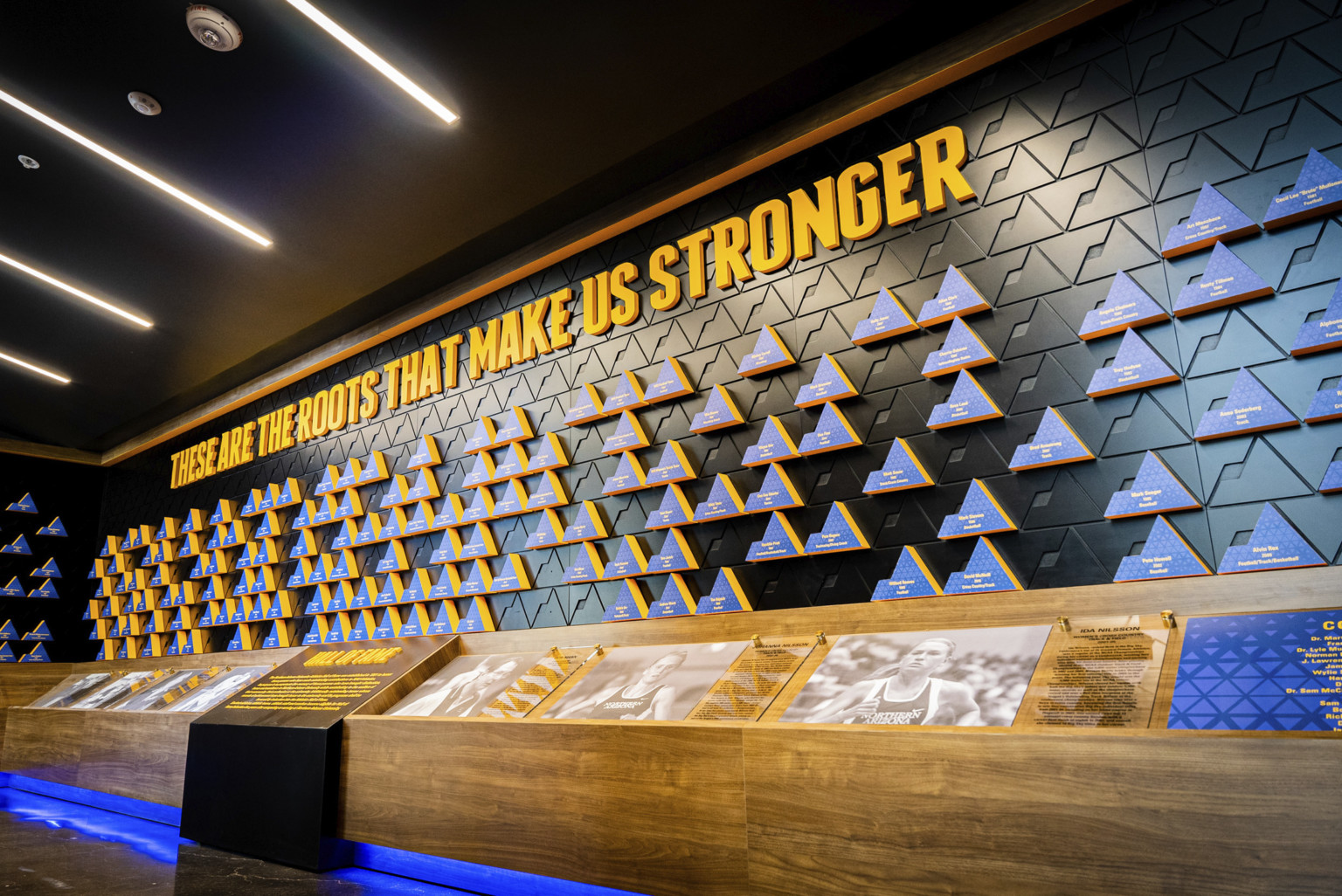 wood display with photos under a three dimensional blue, black, and yellow graphic wall. a black ceiling with parallel lights