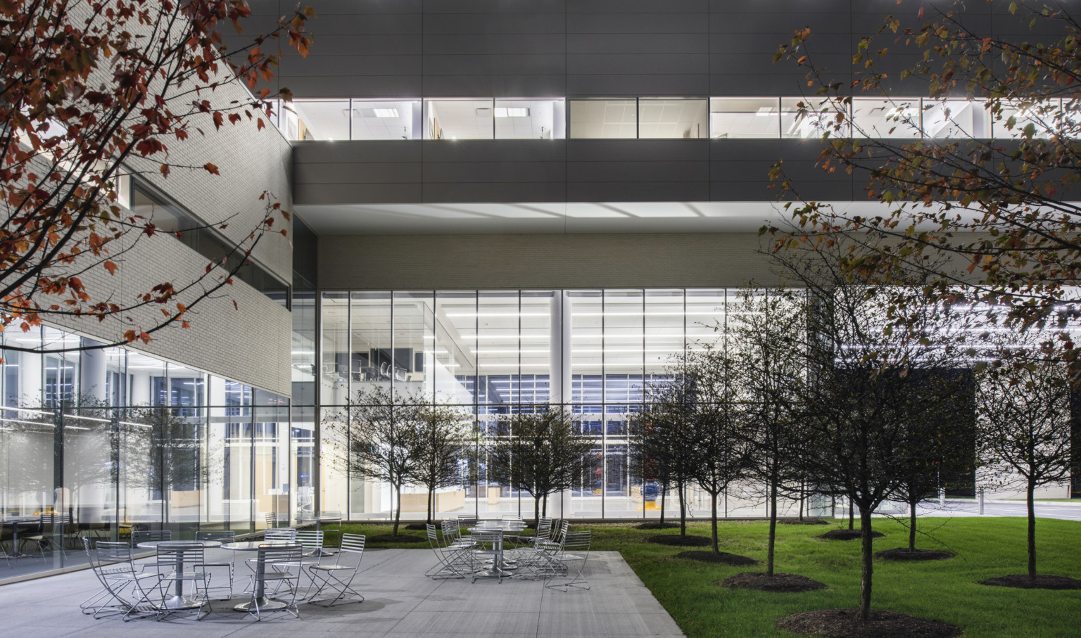 Outdoor seating area with tables and chairs surrounded by trees. Double height windows look out on the courtyard