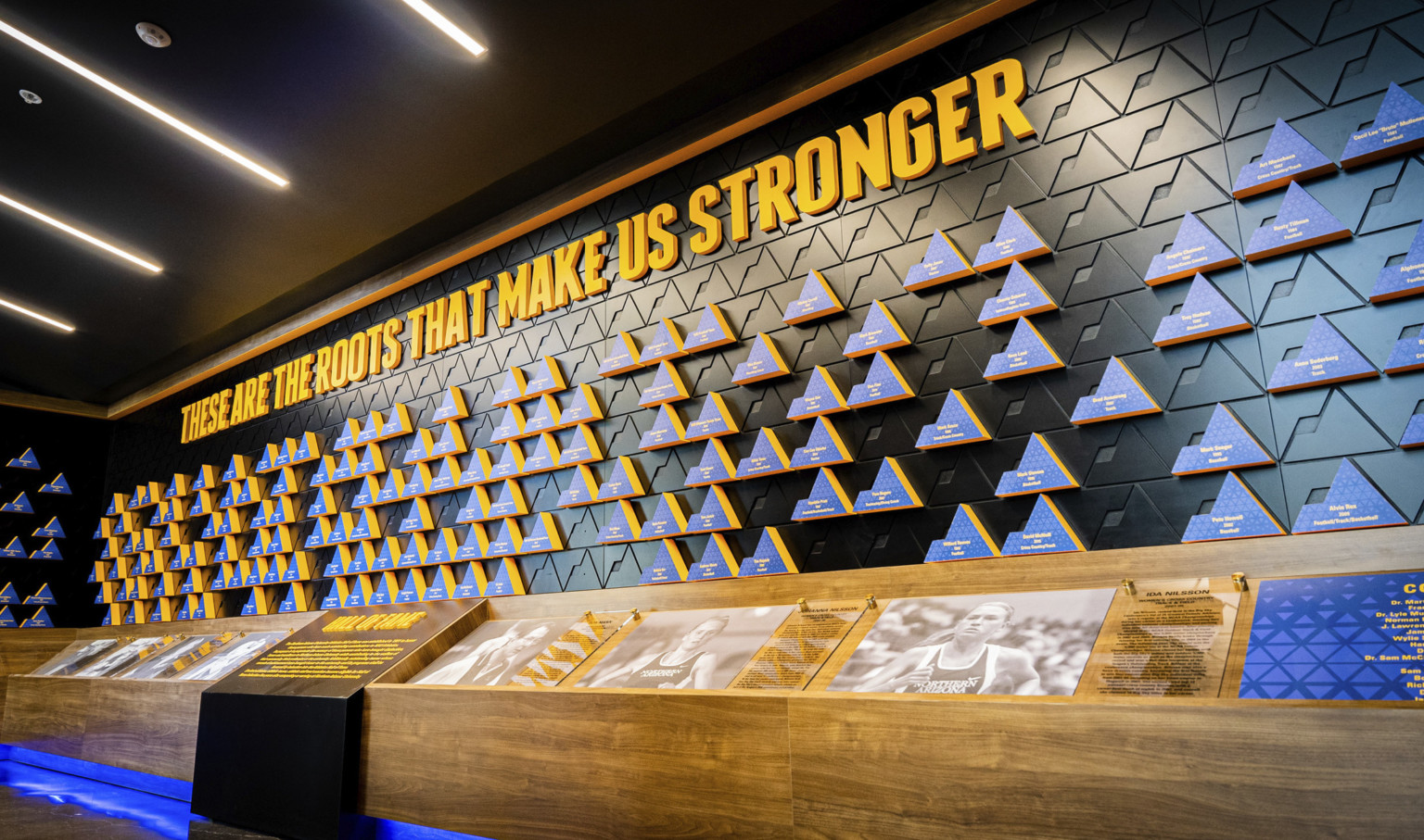 wood display with photos under a three dimensional blue, black, and yellow graphic wall. a black ceiling with parallel lights