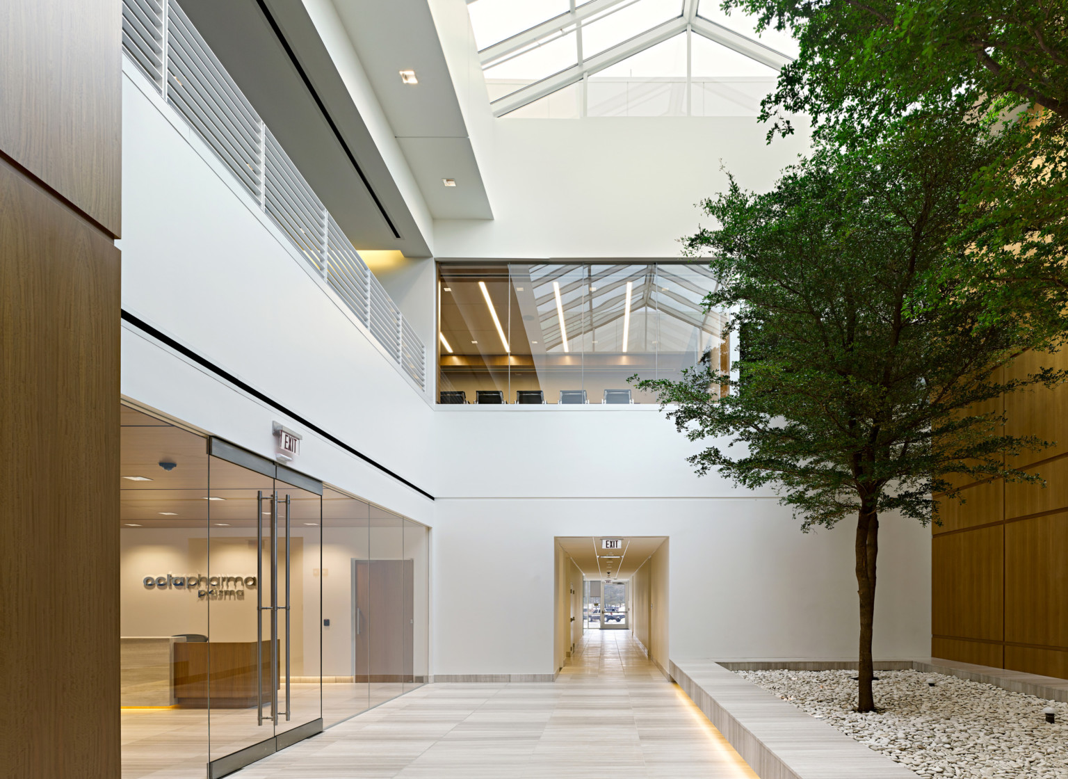 interior atrium of a medical building that is two stories high with white walls and trees lining the center