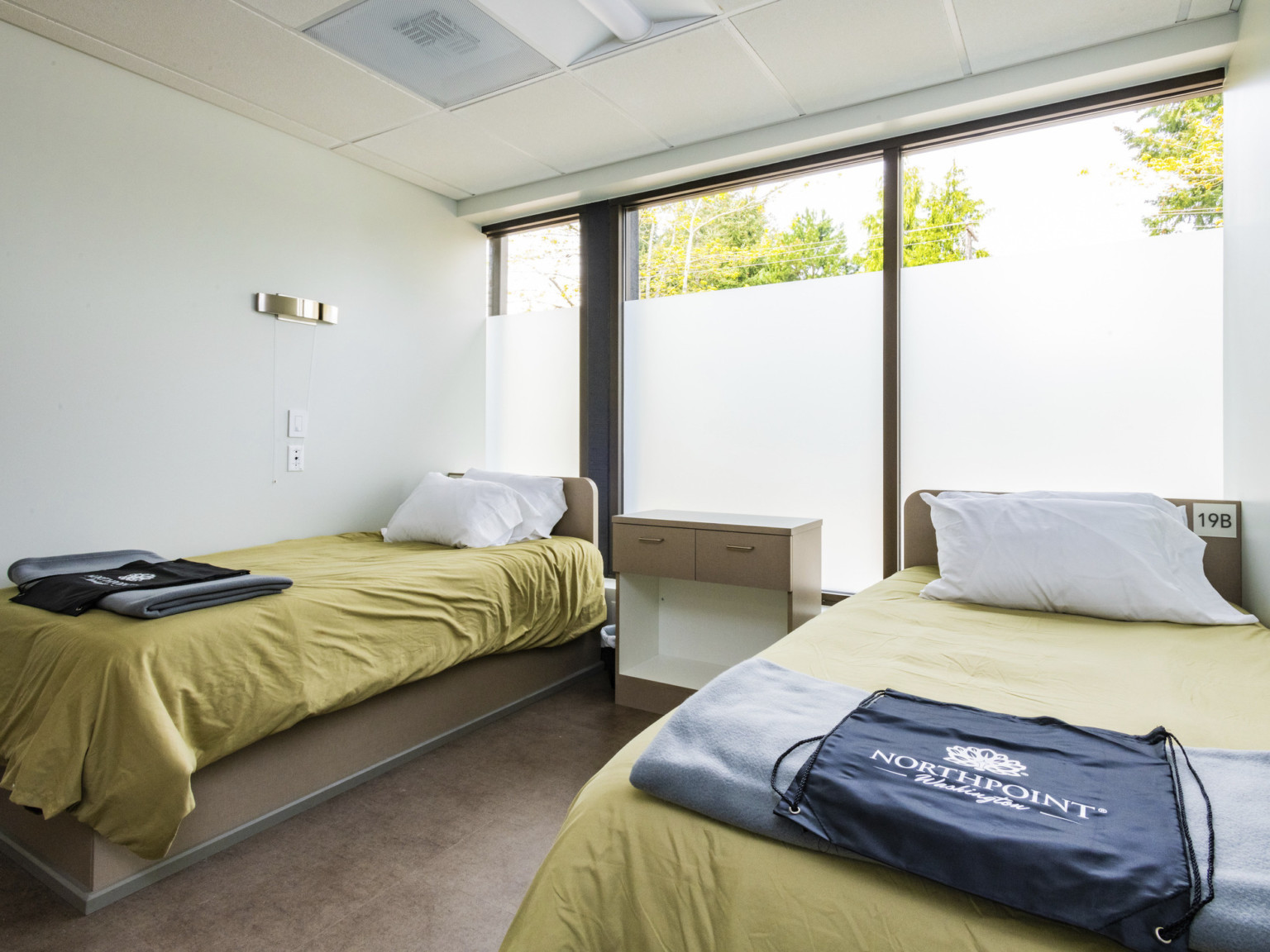 two single beds with chartreuse duvet covers and wood frames white walls, floor to ceiling glass with frosted privacy screen