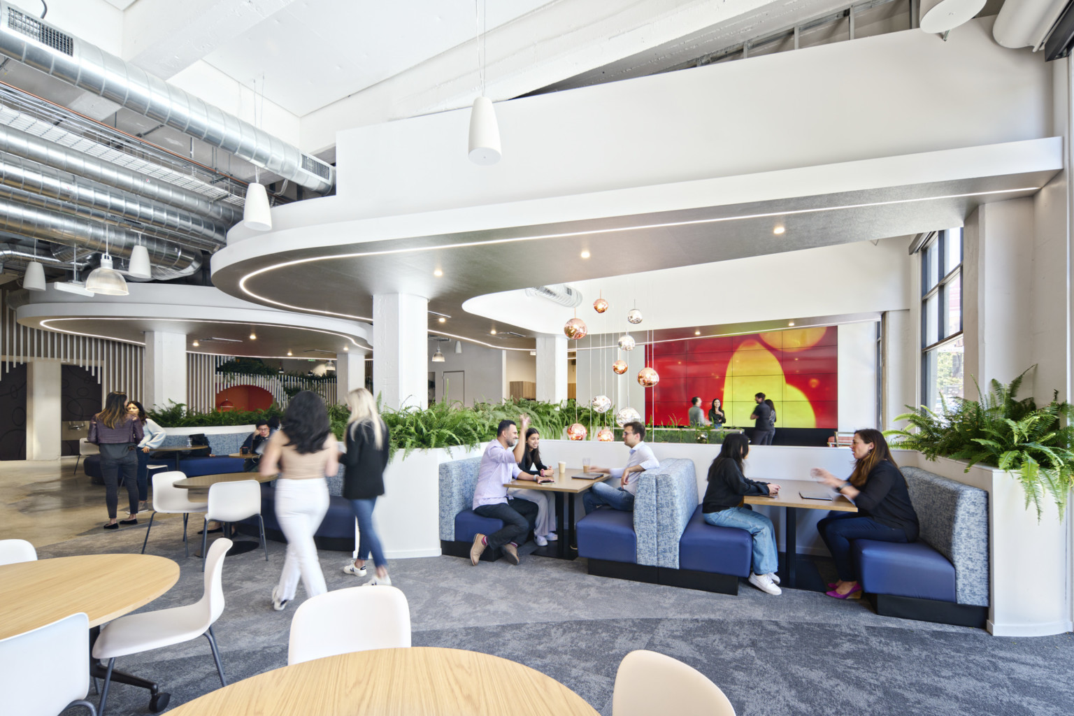 mixed seating with tables and booths in white room with organically shaped white drop ceiling details, metallic chandelier and organic mural mixed seating with tables and booths in white room with organically shaped white drop ceiling details, metallic chandelier and organic mural