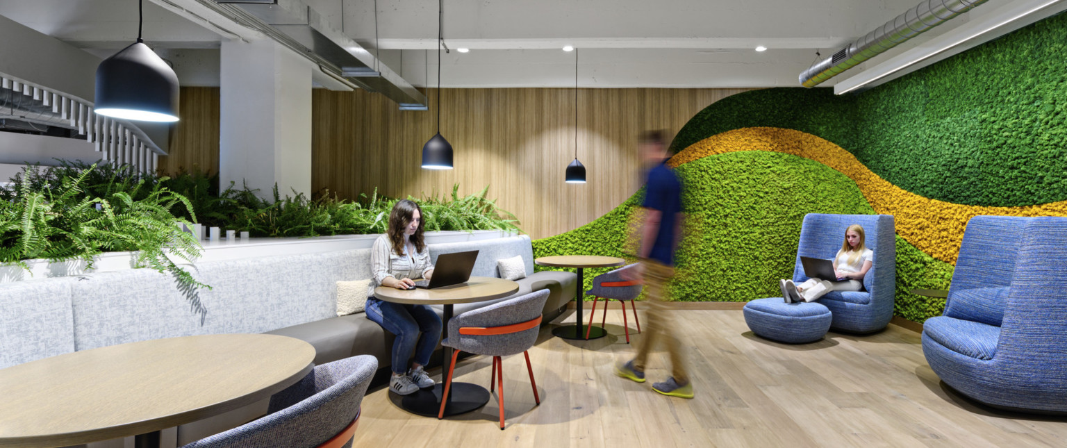 Office common area with bench seating and arm chairs. Textural green and yellow stripes on wall to right, biophilia plants left