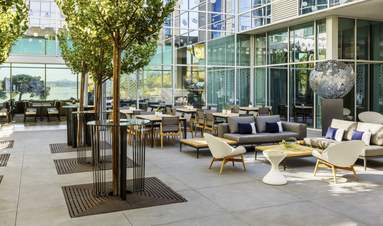 Outside courtyard seating area with trees and floor to ceiling window