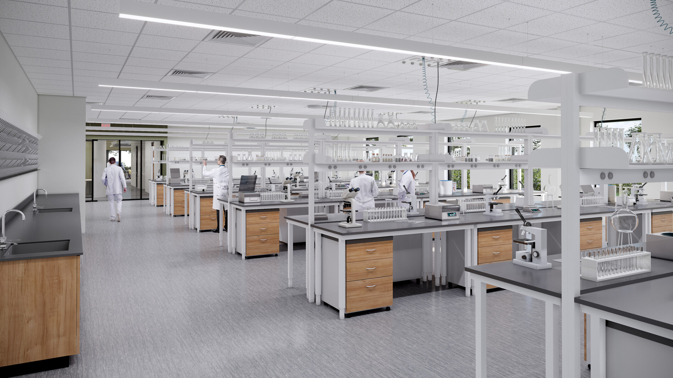 Clean lab space with warm wood, natural light and rectangular rod lights above each table