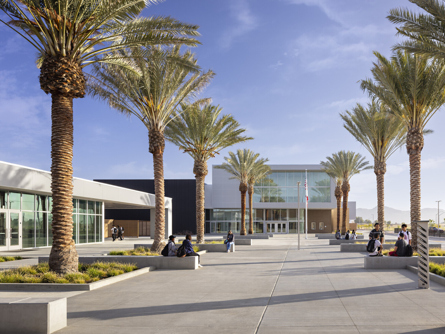 Courtyard entry with palm tree lined concrete walkway, building on 3 sides with large windows, blue accents