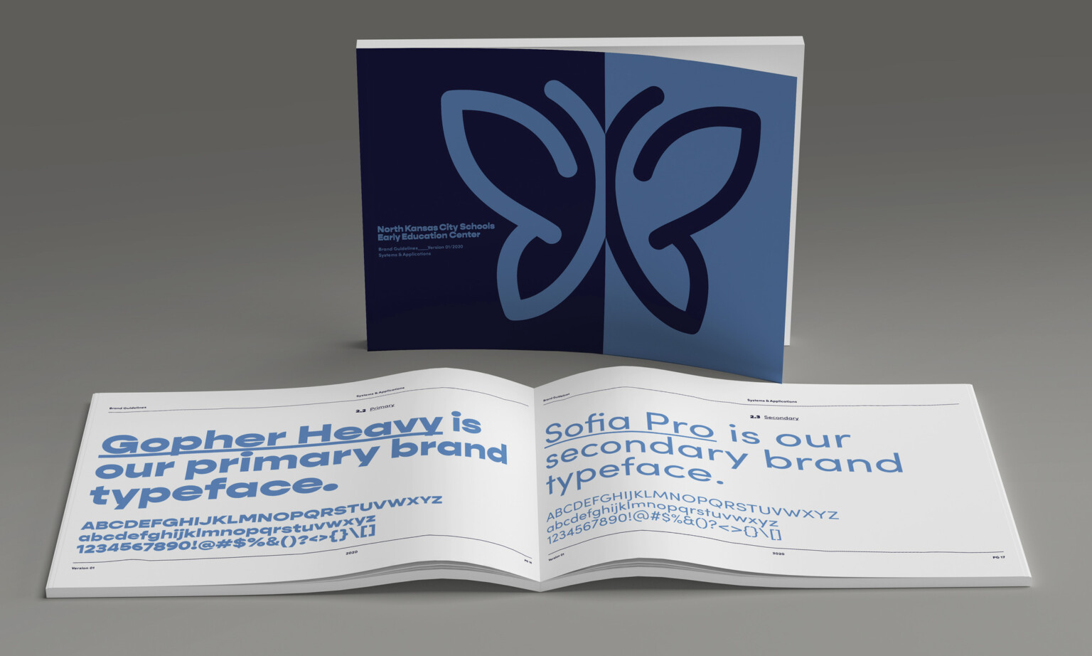 New branding look materials, cover of butterfly logo, open style guide with turquoise fonts