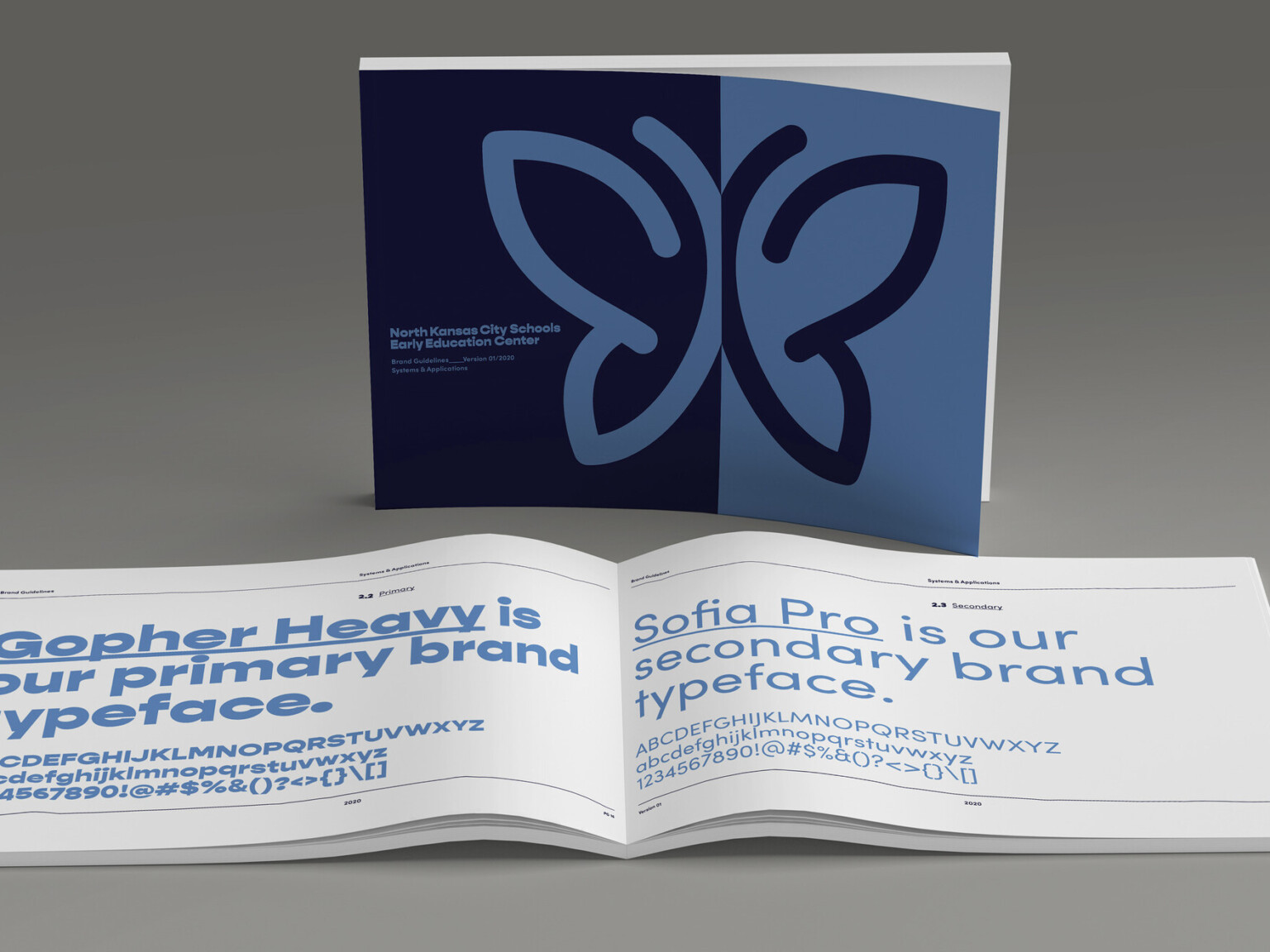New branding look materials, cover of butterfly logo, open style guide with turquoise fonts