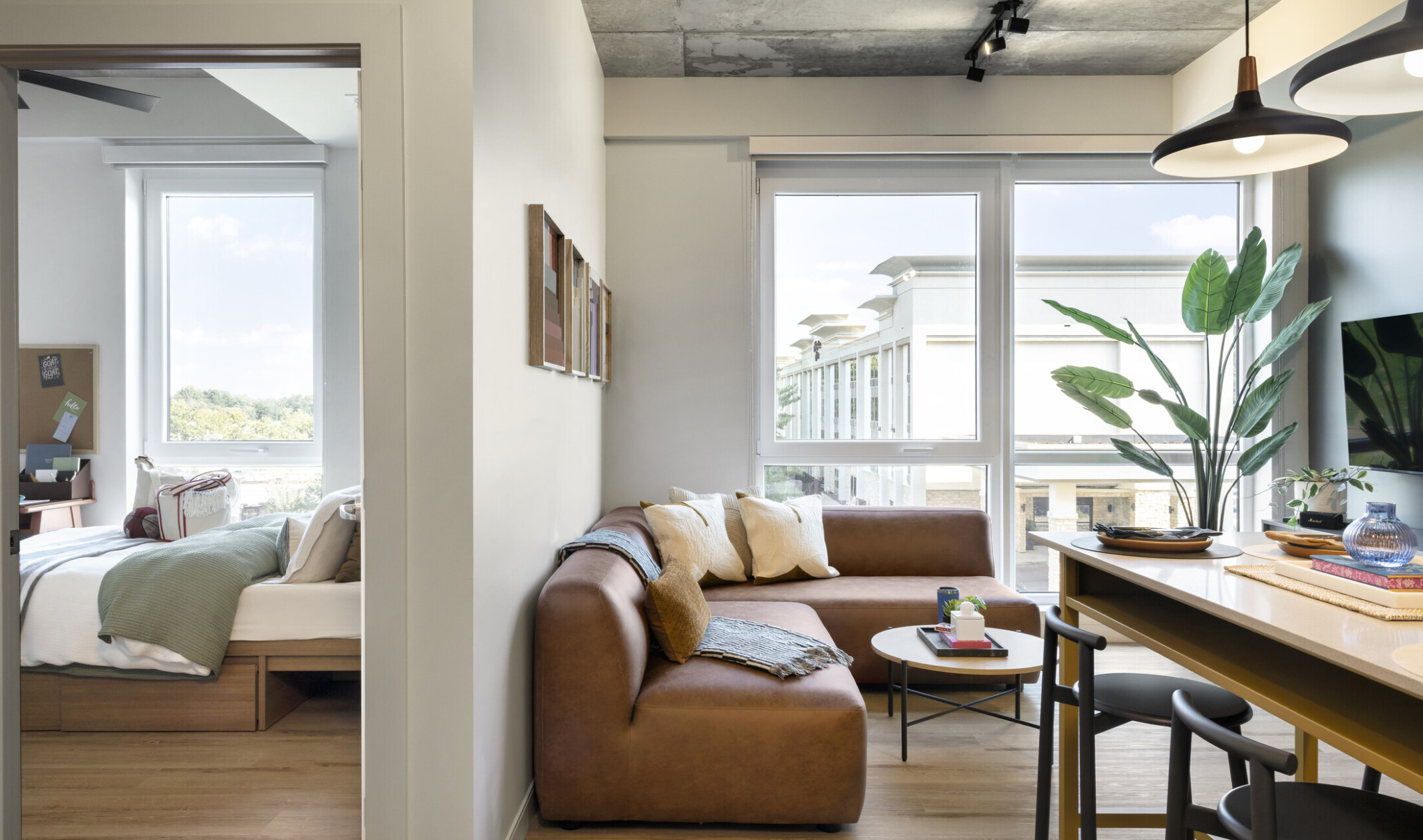 Hub Bloomington off campus student housing; View into living room and bedroom with floor-to-ceiling windows and natural light.