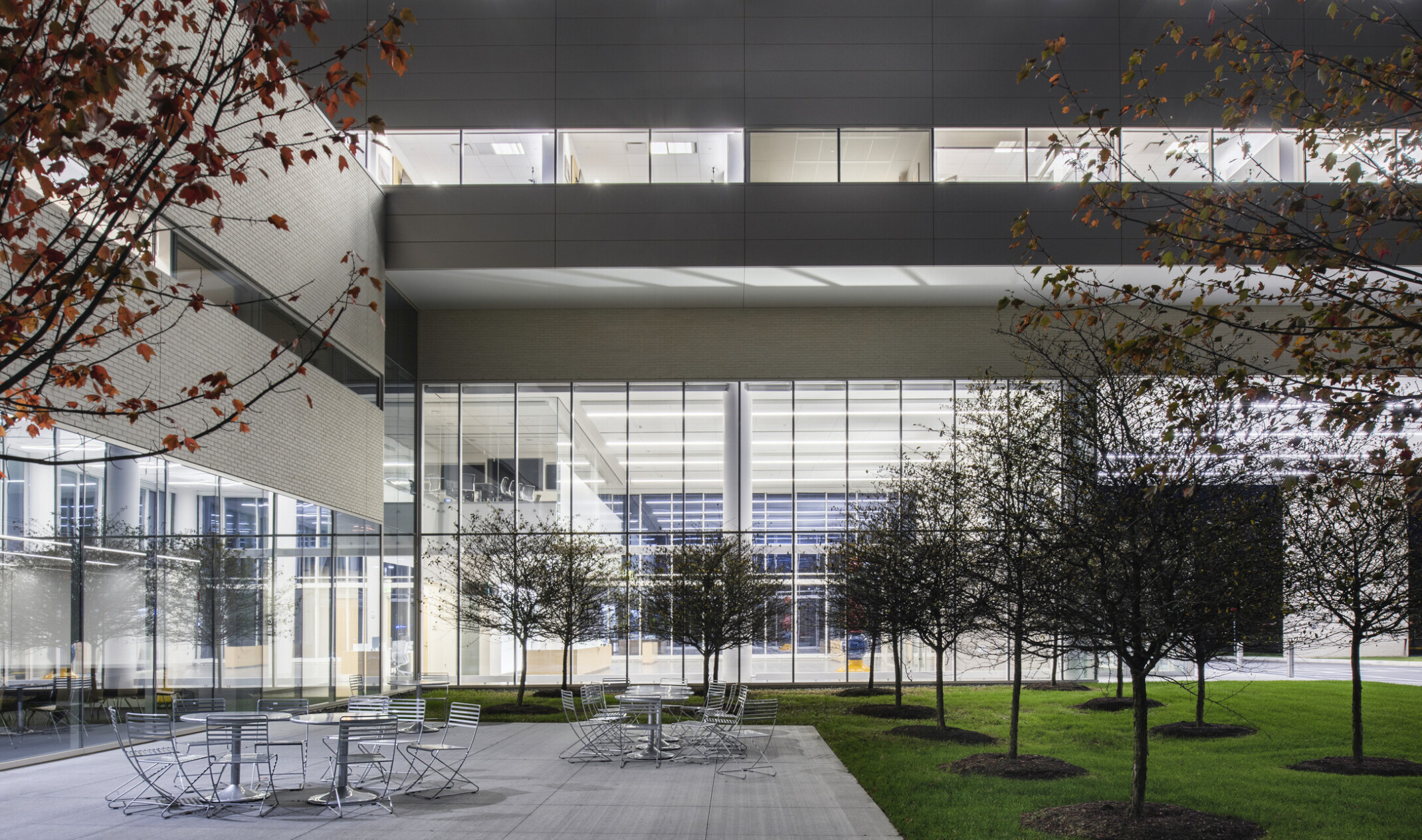 Outdoor seating area with tables and chairs surrounded by trees. Double height windows look out on the courtyard