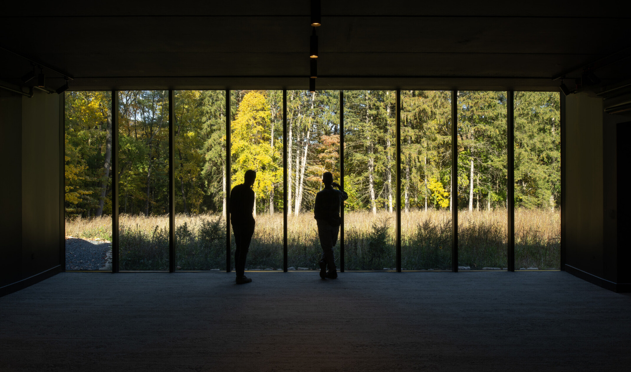 2 people silhouetted looking out tall floor to ceiling windows into a forest of lush trees and greenery