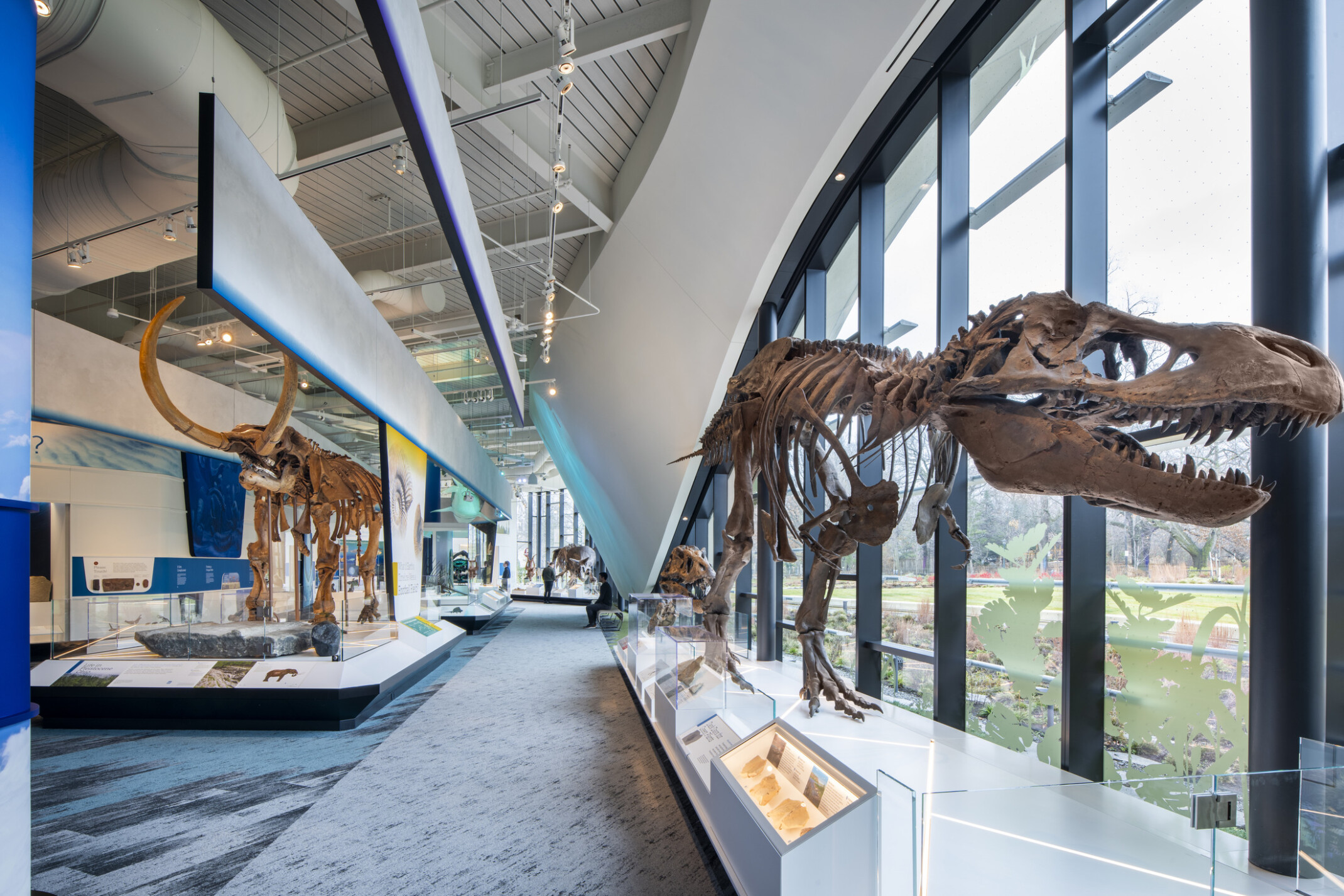 Cleveland museum of natural history; large t-rex skeleton to the right of the image with large skeleton exhibits