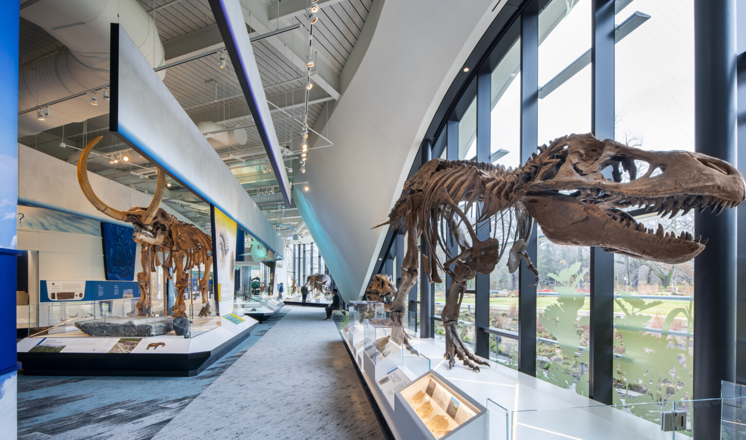 Cleveland museum of natural history; large t-rex skeleton to the right of the image with large skeleton exhibits