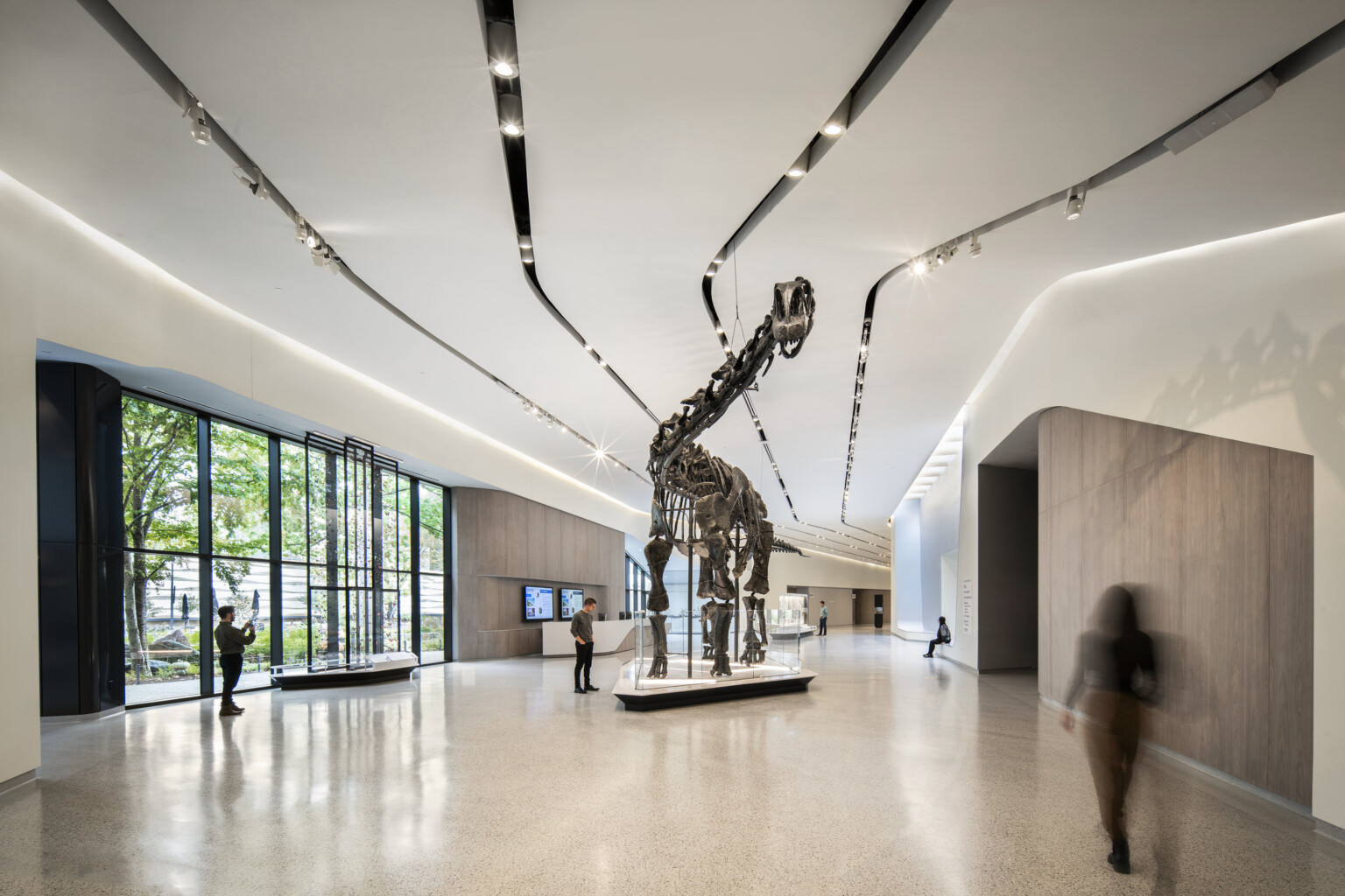 A dinosaur skeleton in an exhibition hall with people walking and viewing the exhibit in the large space with white walls, light tile flooring