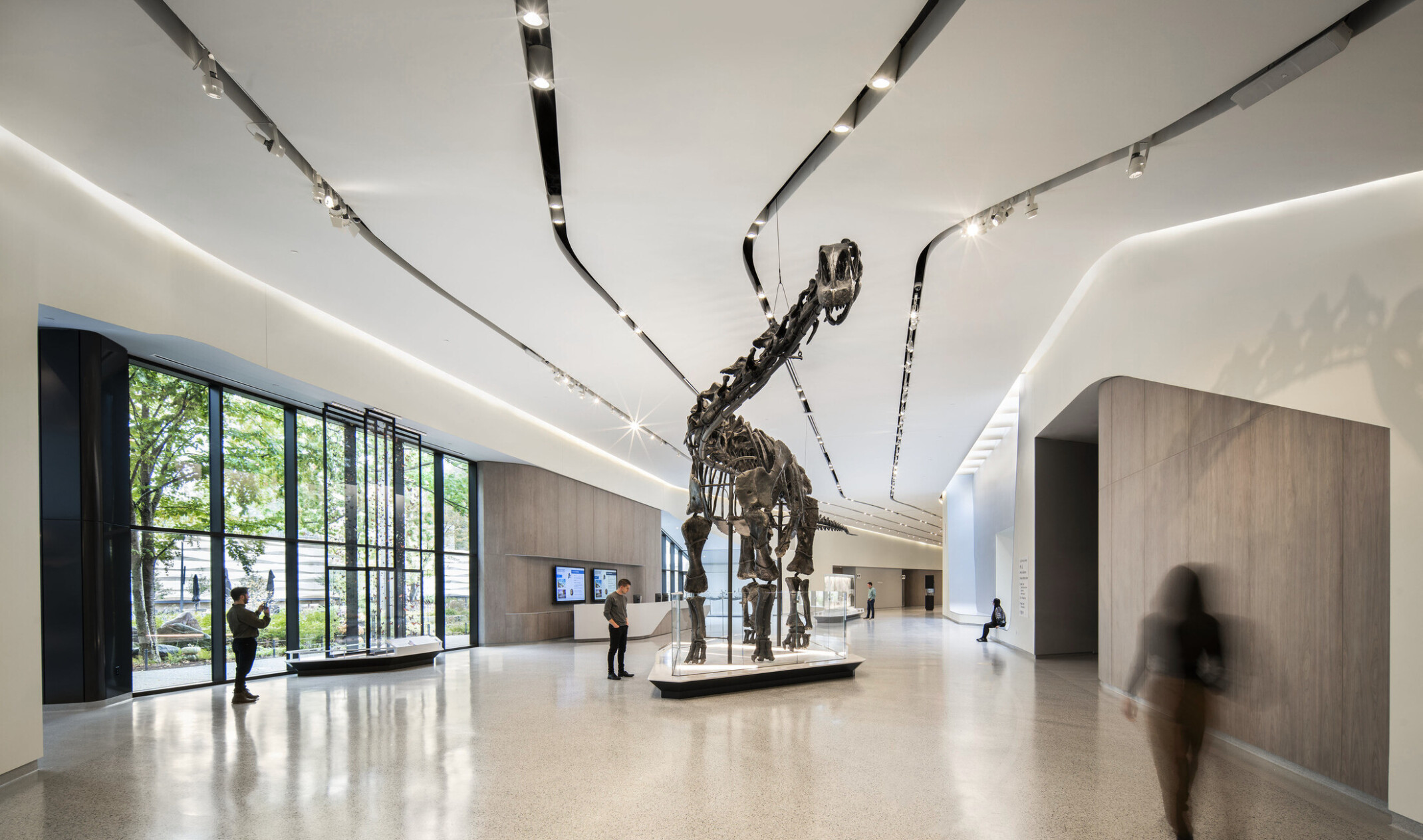 A dinosaur skeleton in an exhibition hall with people walking and viewing the exhibit in the large space with white walls, light tile flooring