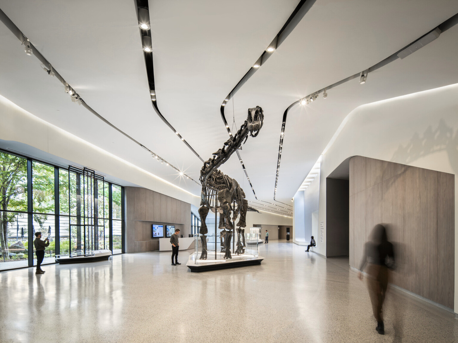 A dinosaur skeleton in an exhibition hall with people walking and viewing the exhibit in the large space with white walls, light tile flooring