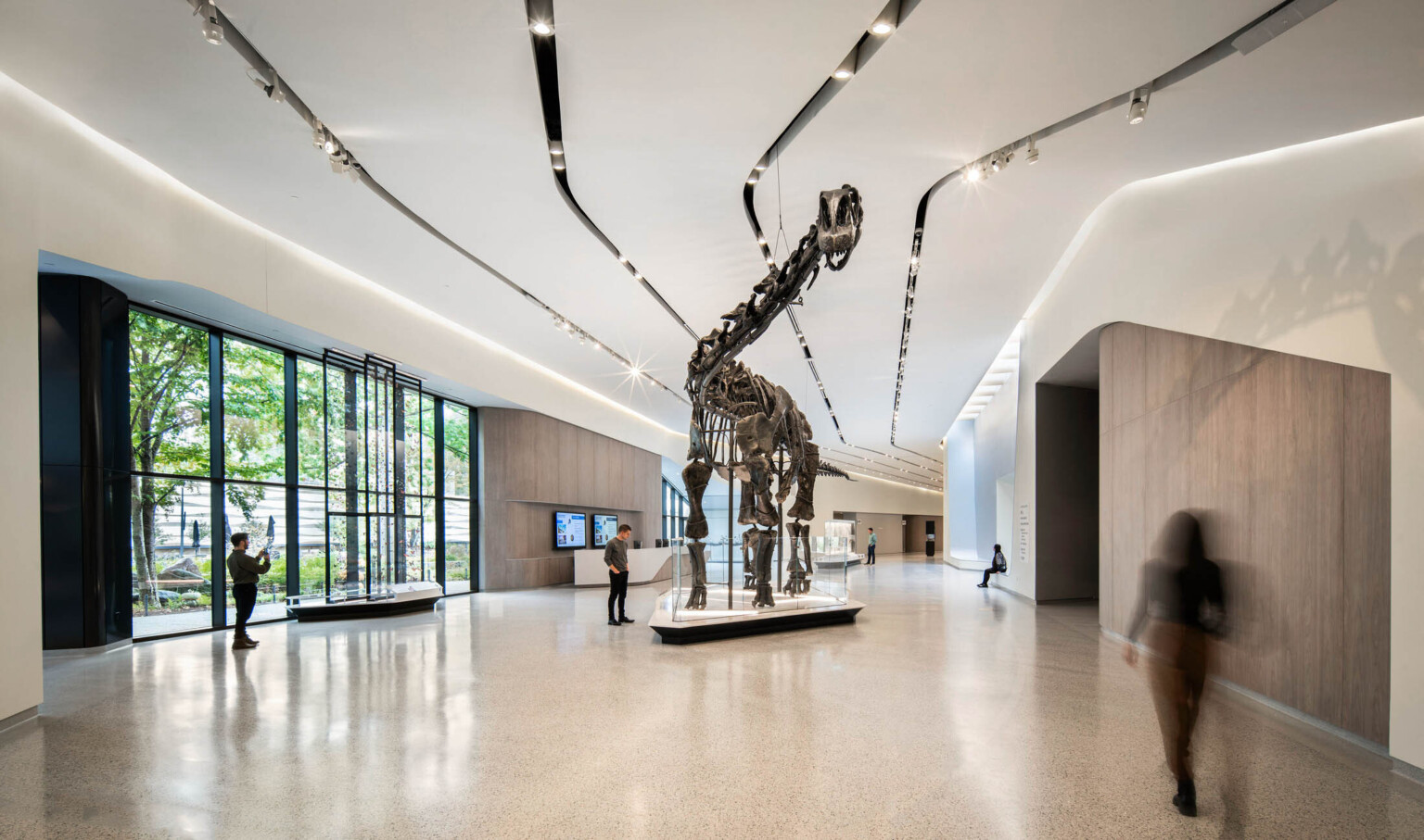 A dinosaur skeleton in an exhibition hall with people walking and viewing the exhibit in the large space with white walls, light tile flooring