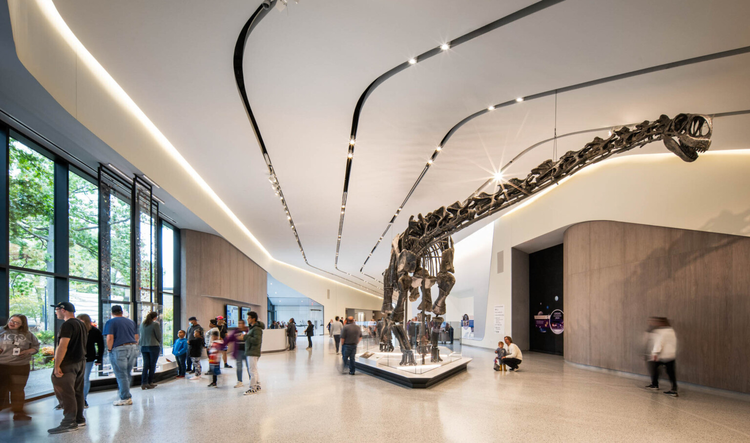 A dinosaur skeleton in an exhibition hall with people walking and viewing the exhibit in the large space with white walls, light tile flooring