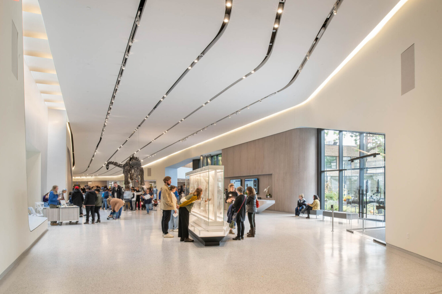 Interior view of a gallery hallway, white striped dimensional ceiling design curves with room and provides recessed lighting