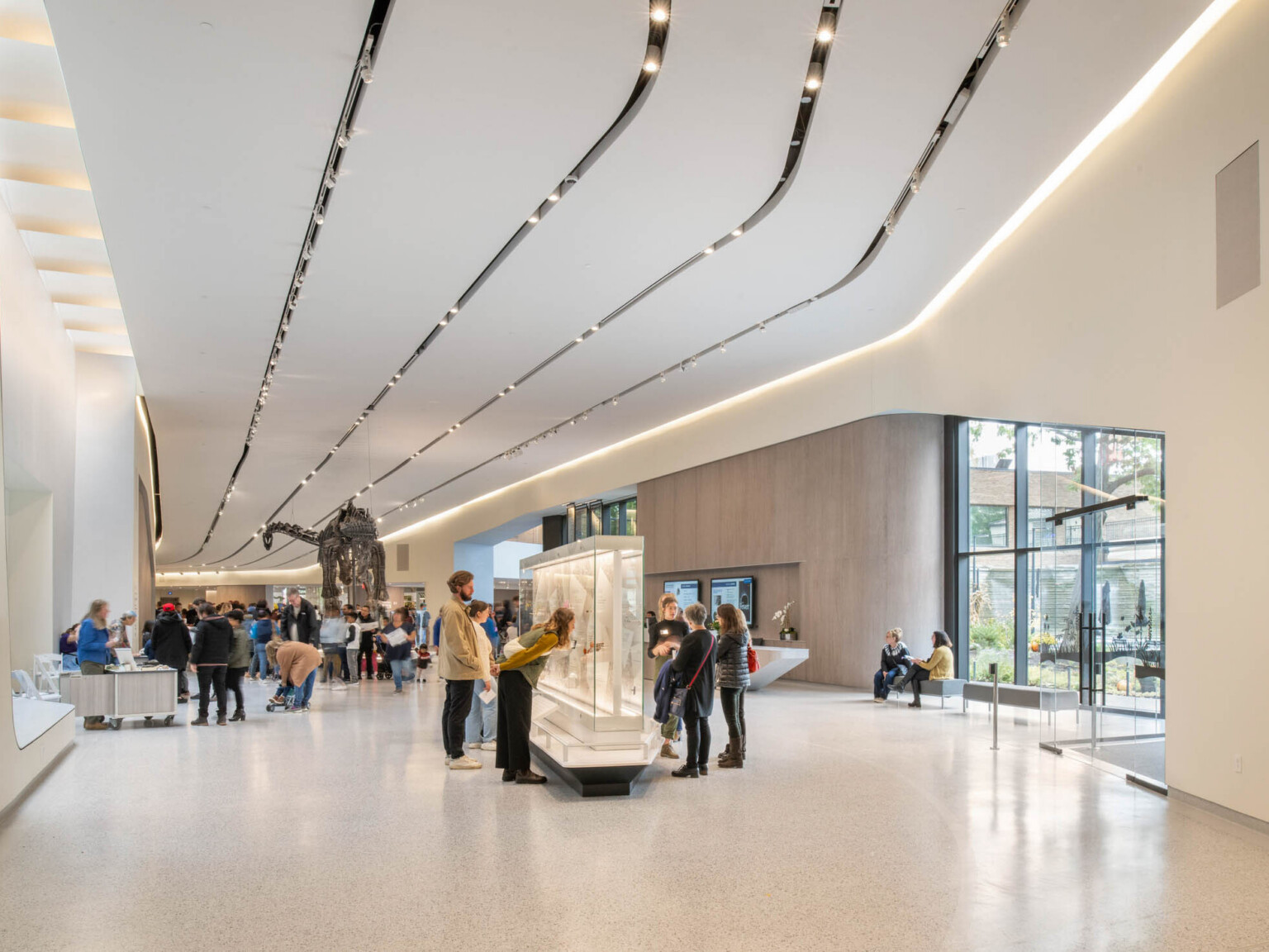 Interior view of a gallery hallway, white striped dimensional ceiling design curves with room and provides recessed lighting