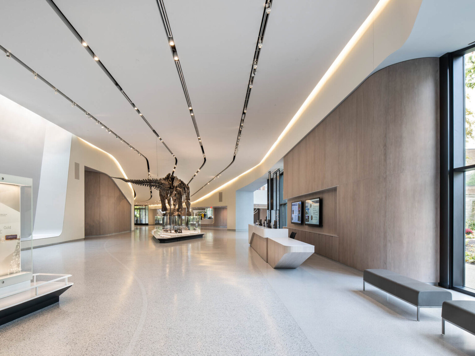 Interior view of a gallery hallway, white striped dimensional ceiling design with a dinosaur skeleton
