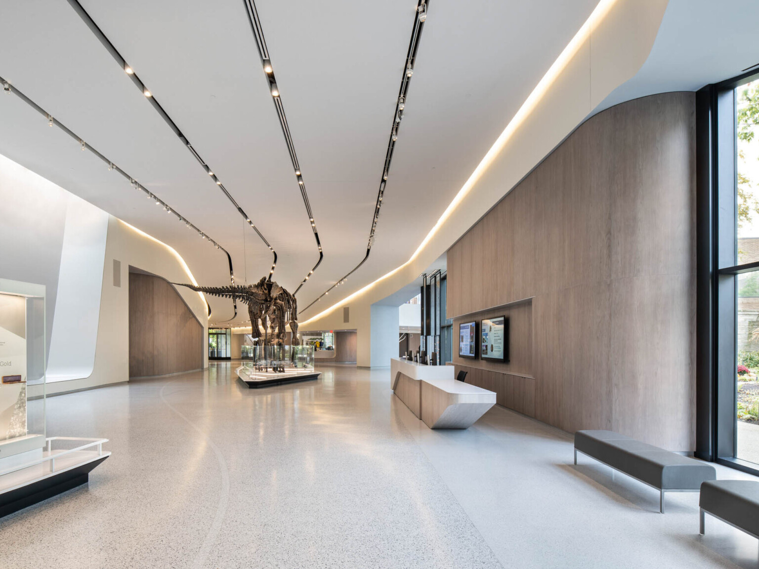 Interior view of a gallery hallway, white striped dimensional ceiling design with a dinosaur skeleton