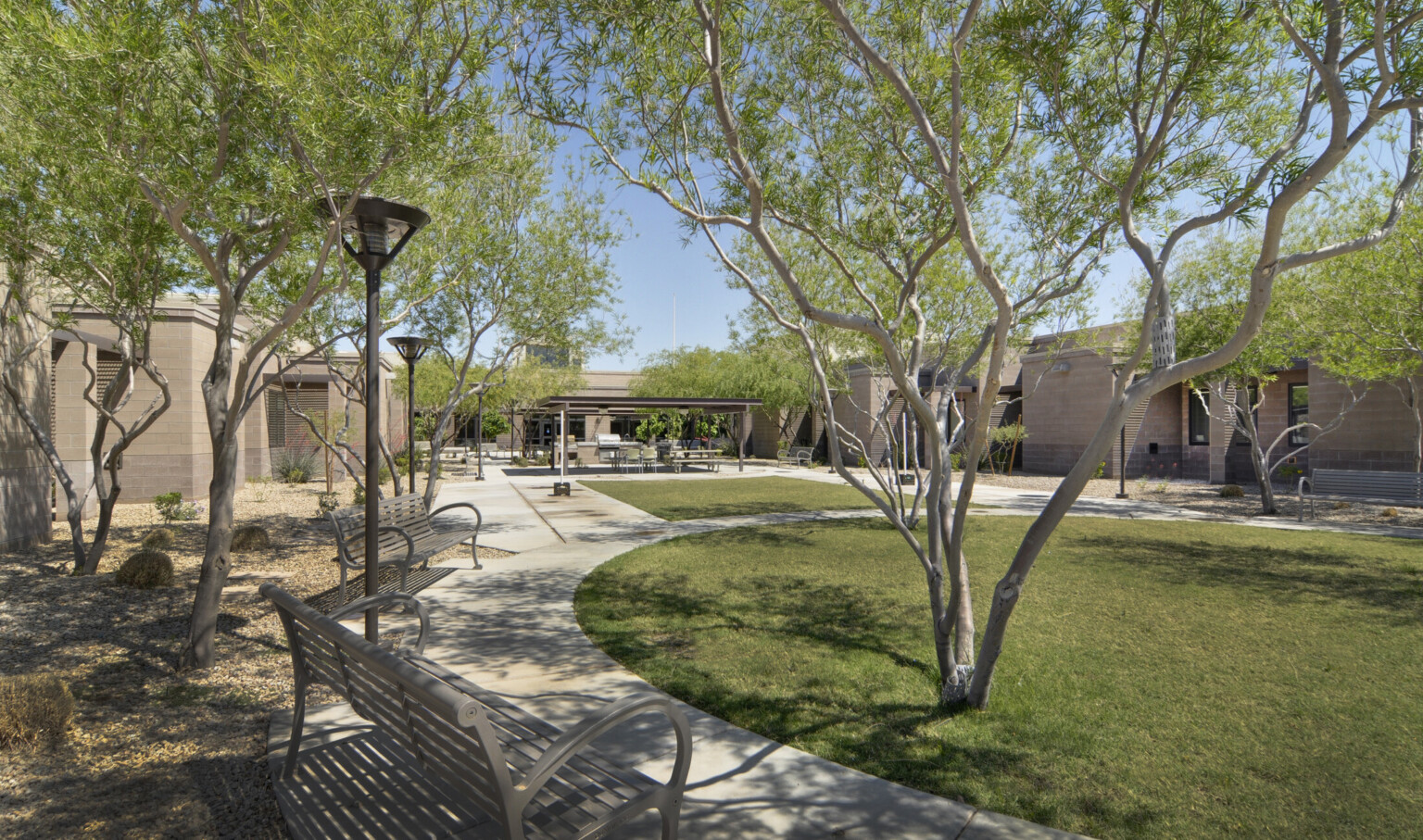 Rendering of courtyard with trees in a mixture of grass and gravel surrounded by stone building. Covered seating area to back