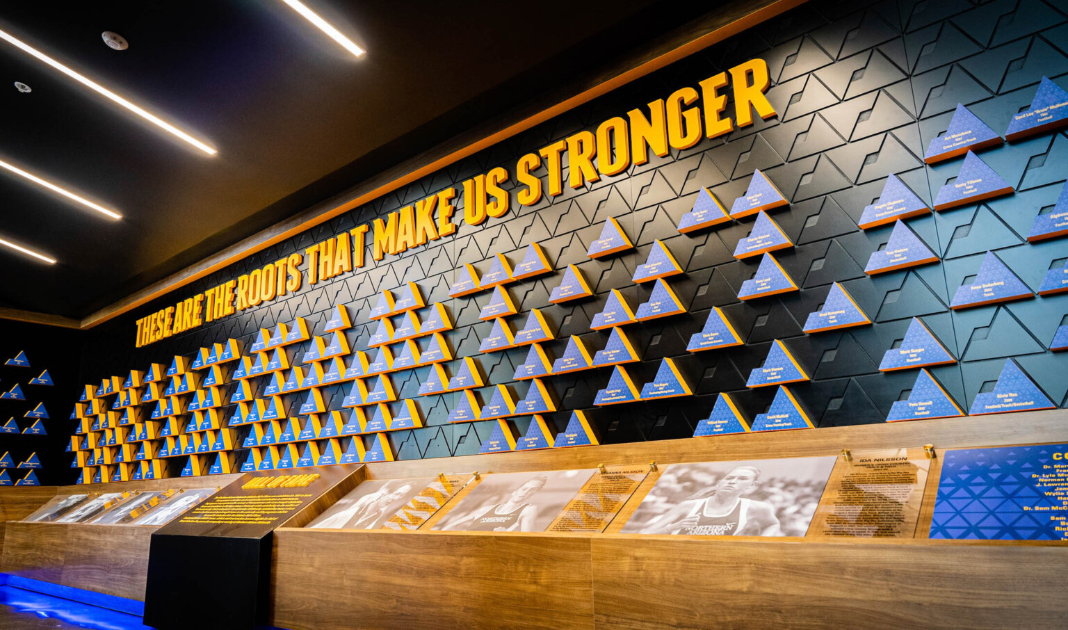 wood display with photos under a three dimensional blue, black, and yellow graphic wall. a black ceiling with parallel lights