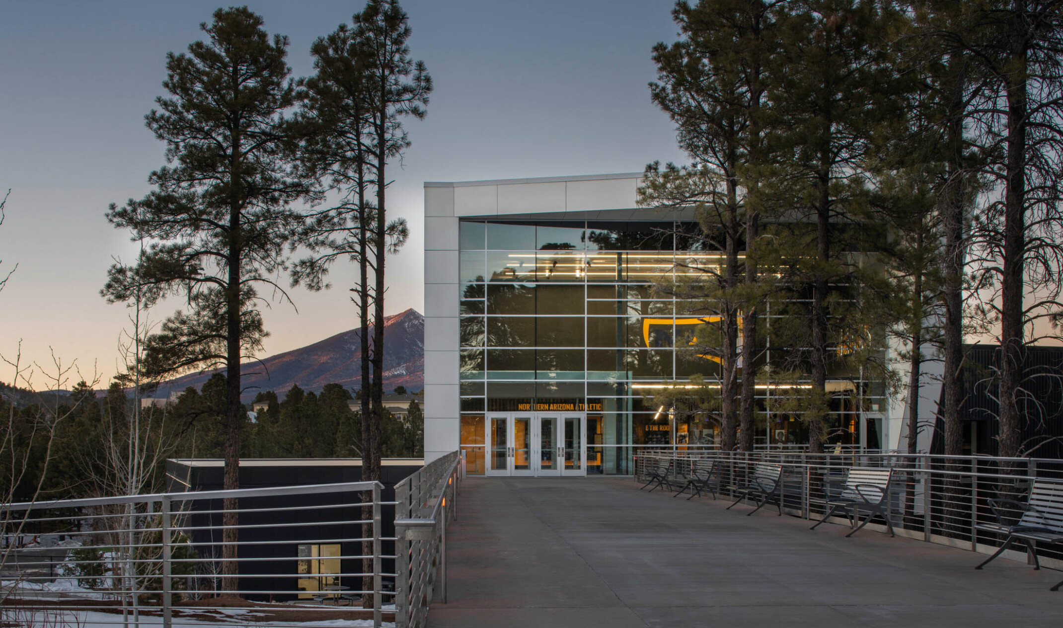 elevated walkway with metal railings leading to double glass entry doors and double height glass facade framed by pine trees