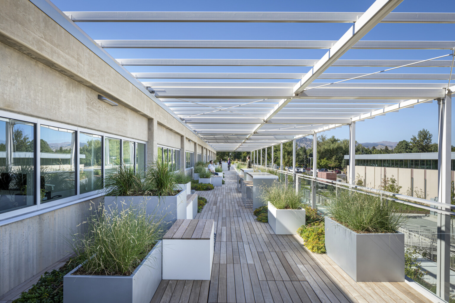 Outdoor walkway filled with plants in white planters on wooden decking Outdoor walkway filled with plants in white planters on wooden decking